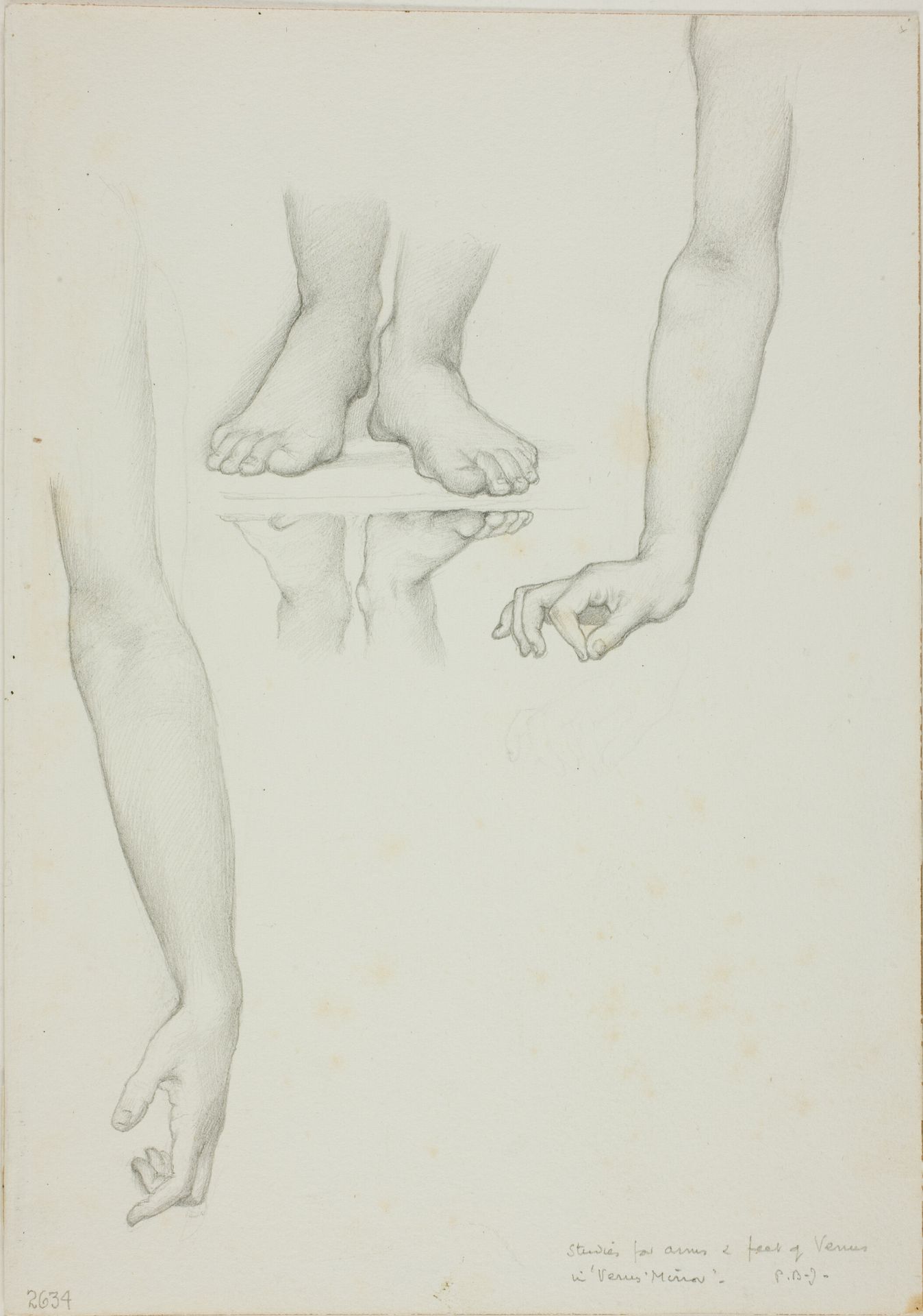 Study for Mirror of Venus: Arms and Feet of Venus by Edward Burne-Jones