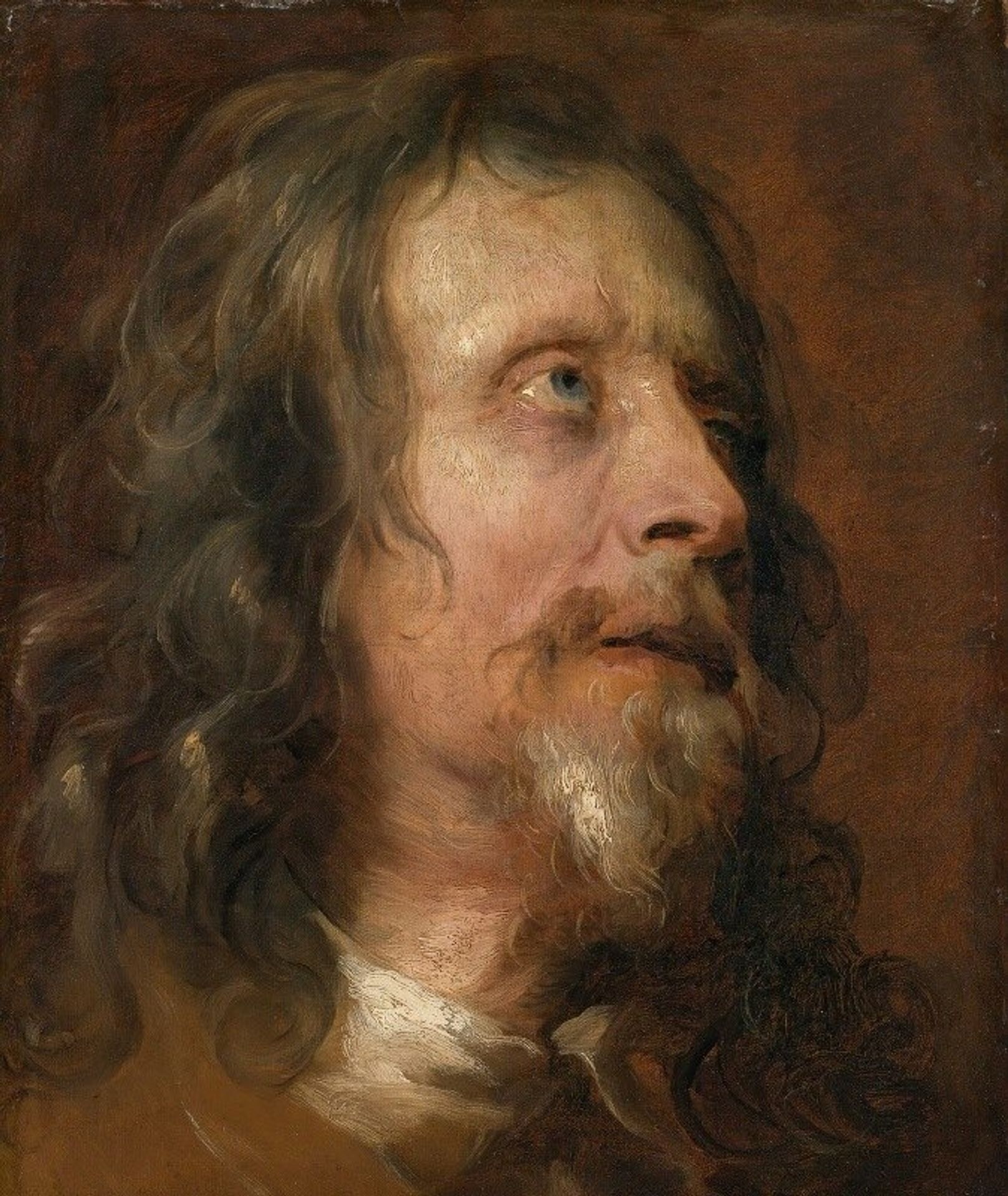 Portrait Study of a Bearded Man by Anthony van Dyck