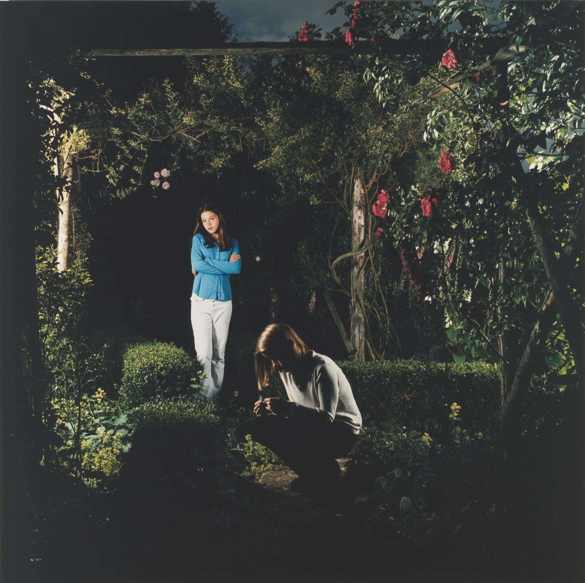 The Garden (Mulberry Lodge) VI by  Sarah Jones