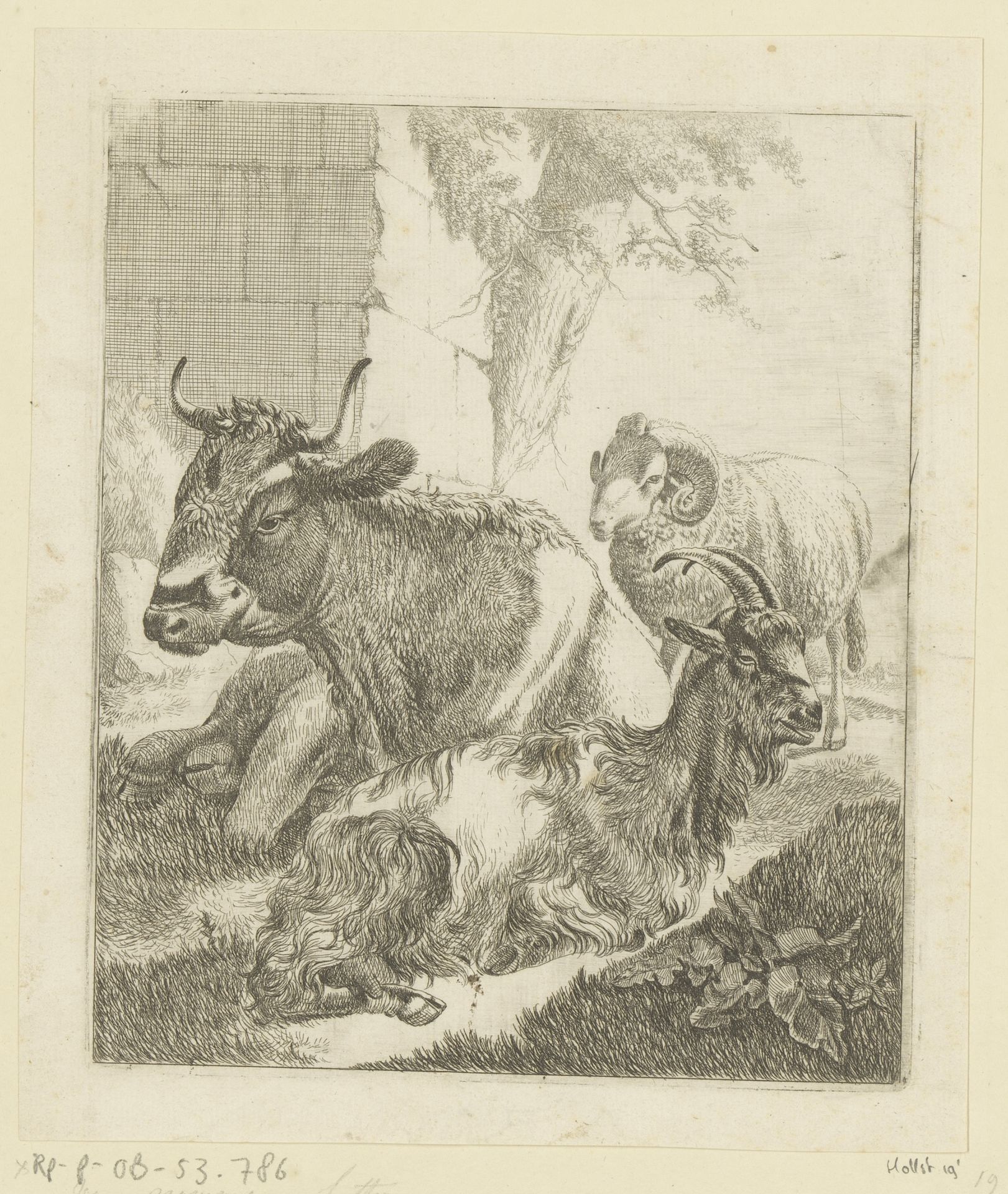 Liggende koe, geit en staande ram by Johann Heinrich Roos