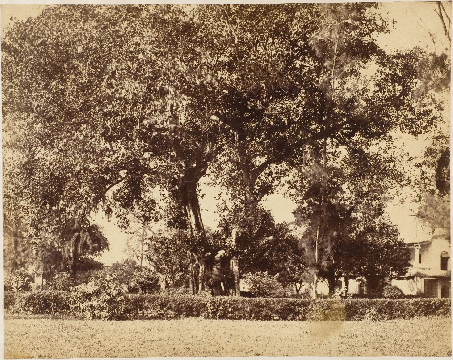 View From Our Garden, Dum Dum by Captain R. B. Hill