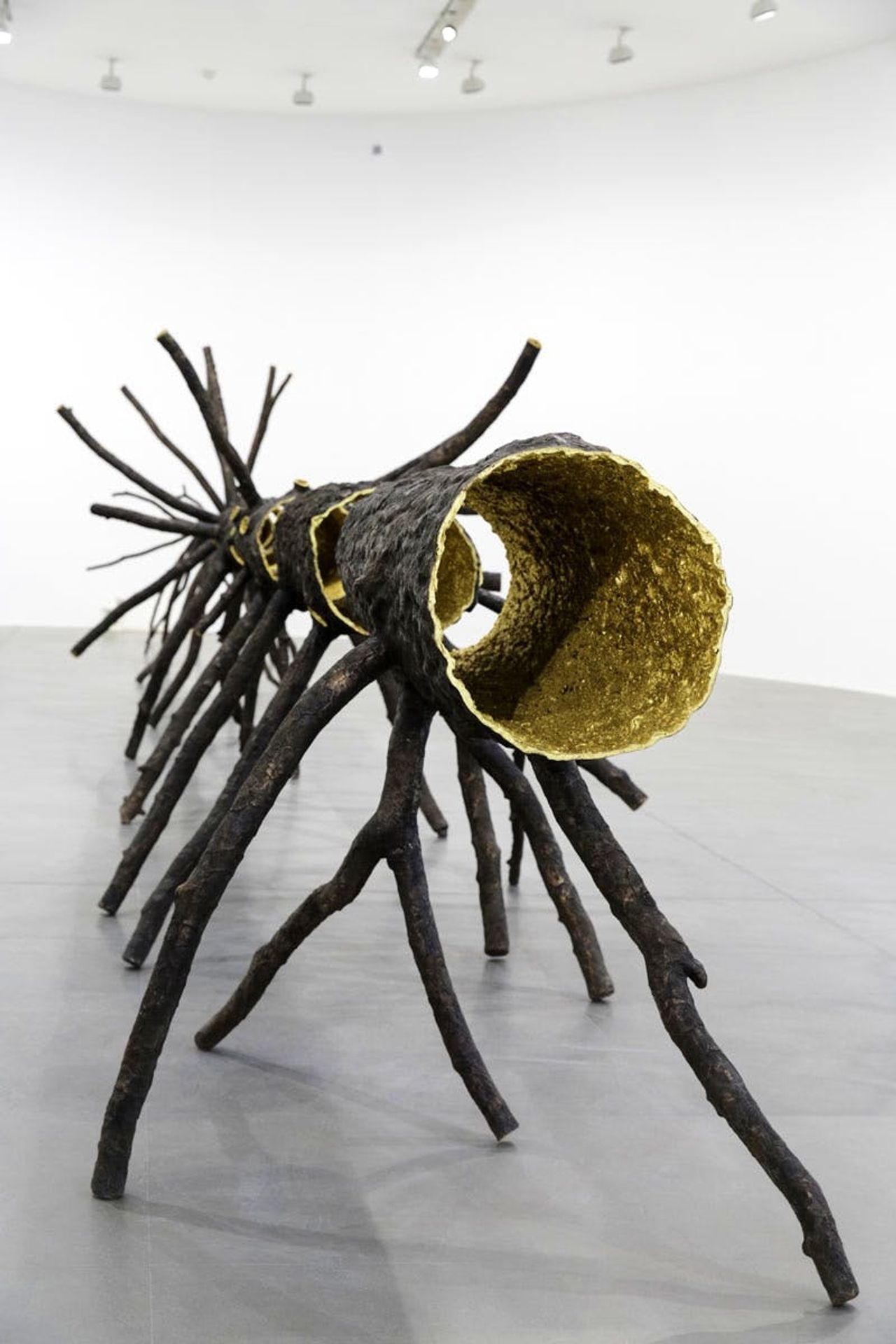 Spazio Di Luce by Giuseppe Penone