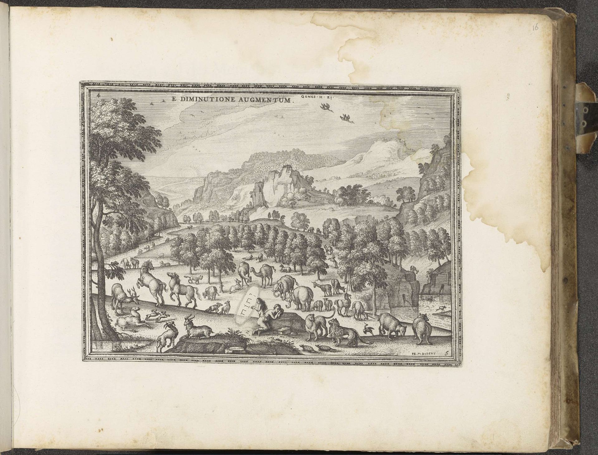Schepping van Eva by Pieter van der (I) Borcht