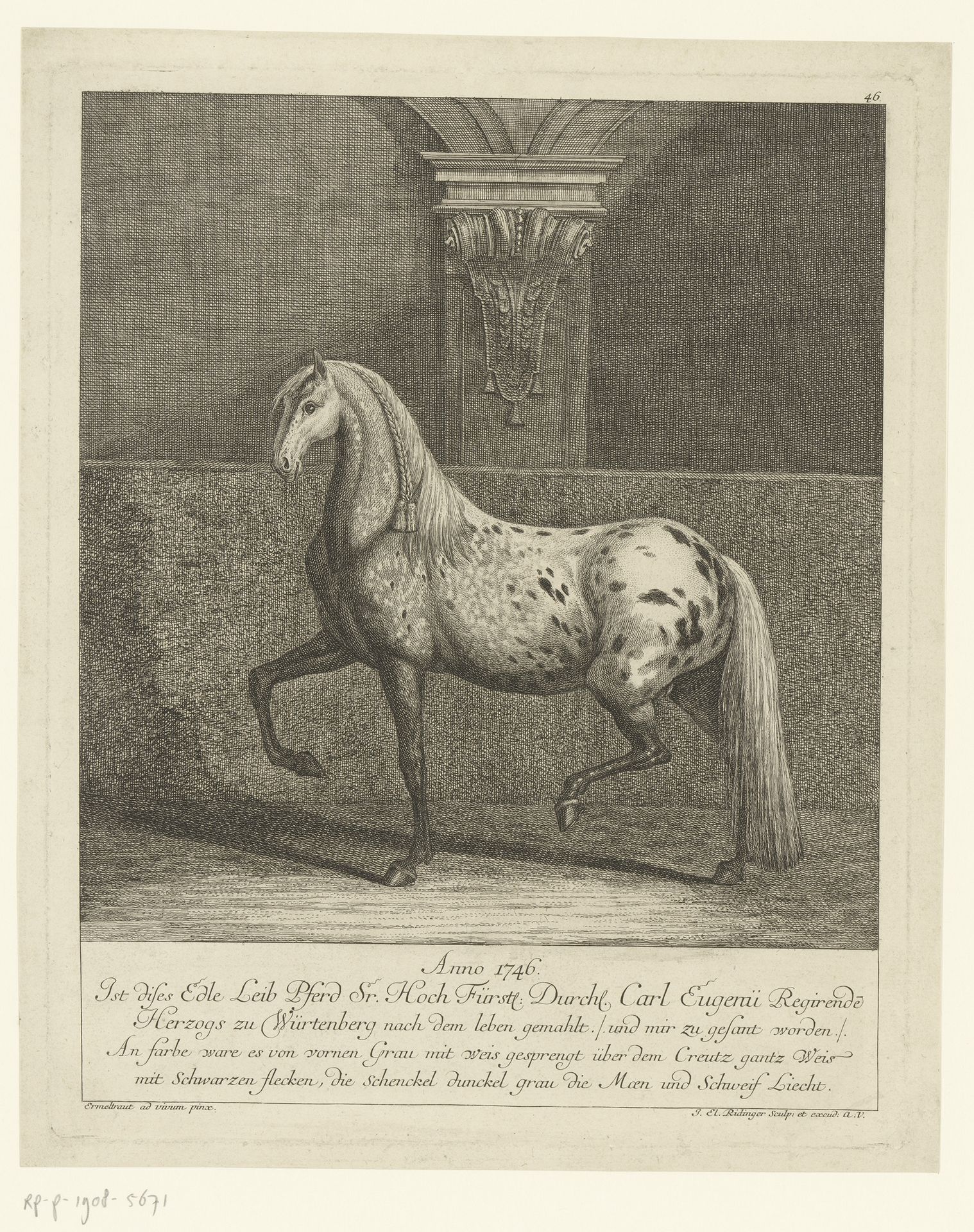 Bijzonder paard van Karl Eugen von Württemberg by Johann Elias Ridinger