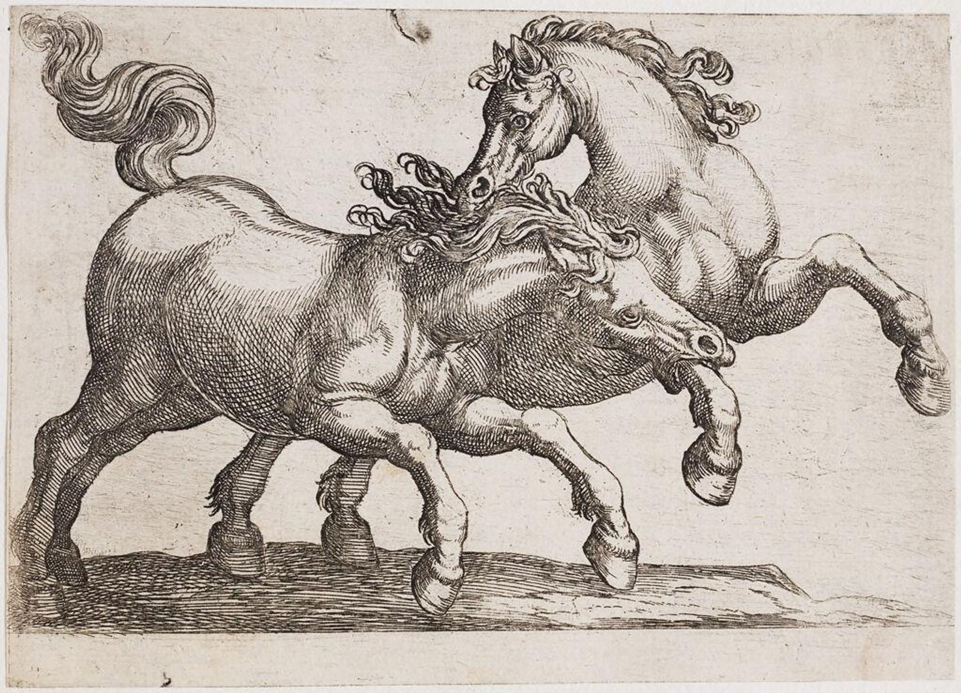 Two Horses Fighting by Antonio Tempesta