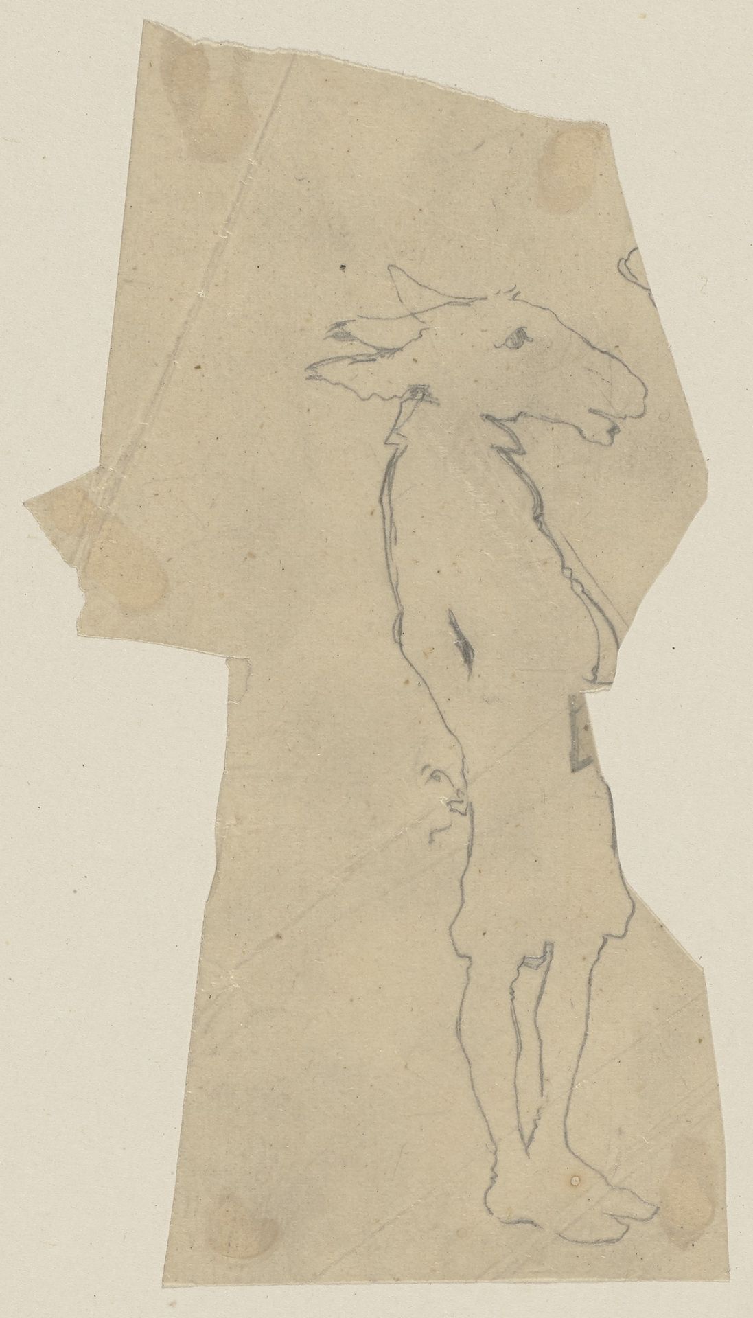 Nick Bottom mit Eselskopf, stehend, nach rechts by Paul Konewka