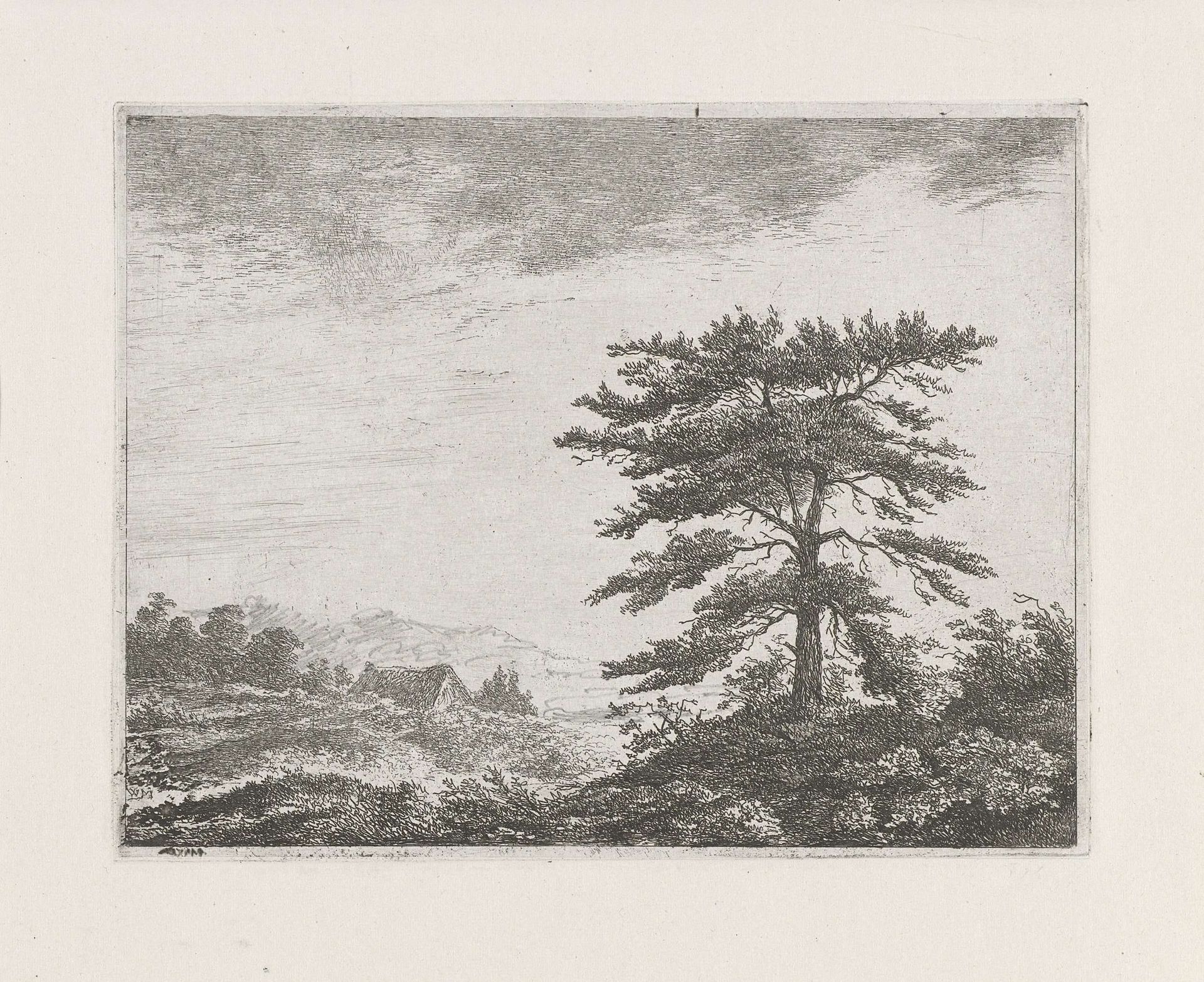 Boom in een heidelandschap by Christiaan Wilhelmus Moorrees