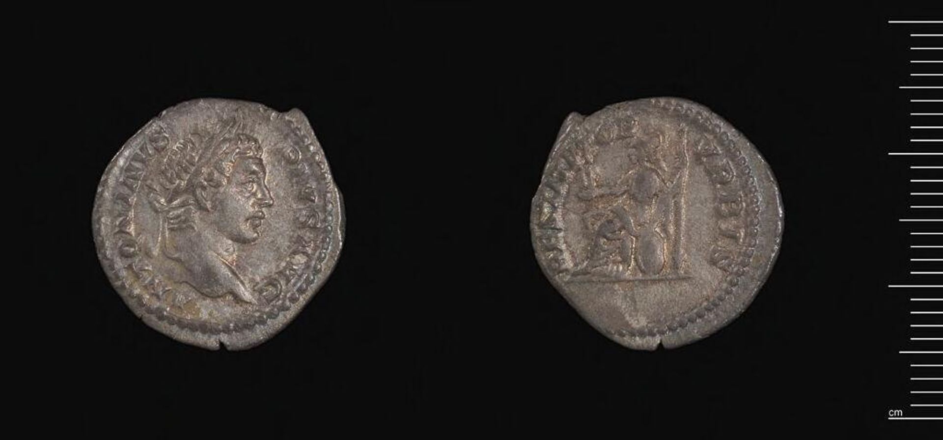 Denarius of Septimius Severus by Septimius Severus