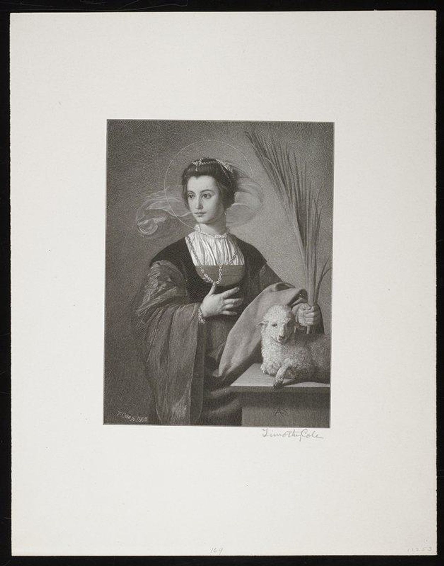 Saint Agnes by Timothy Cole