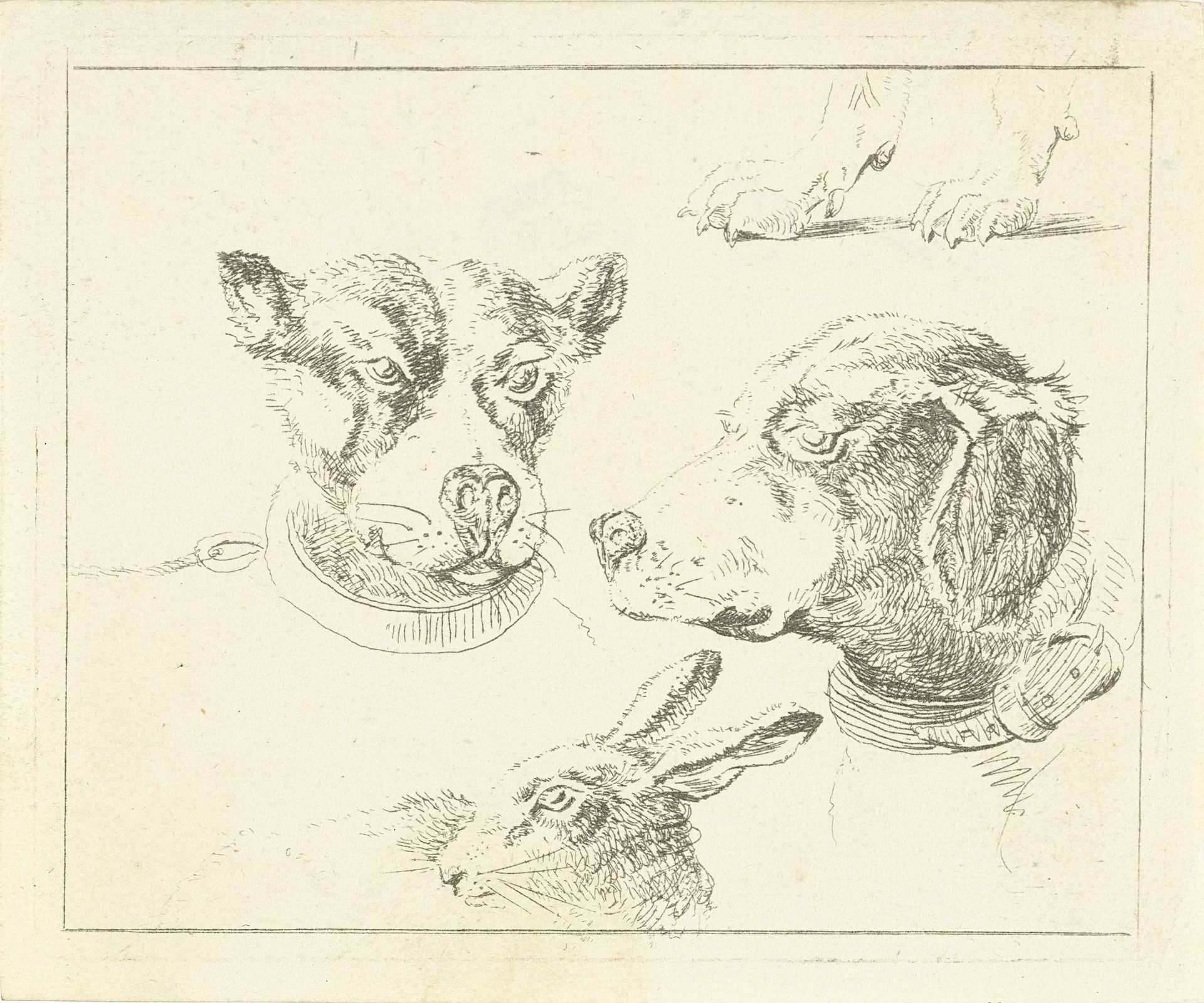 Studieblad met twee hondenkoppen, poten van hond en kop van haas by Jan Dasveldt