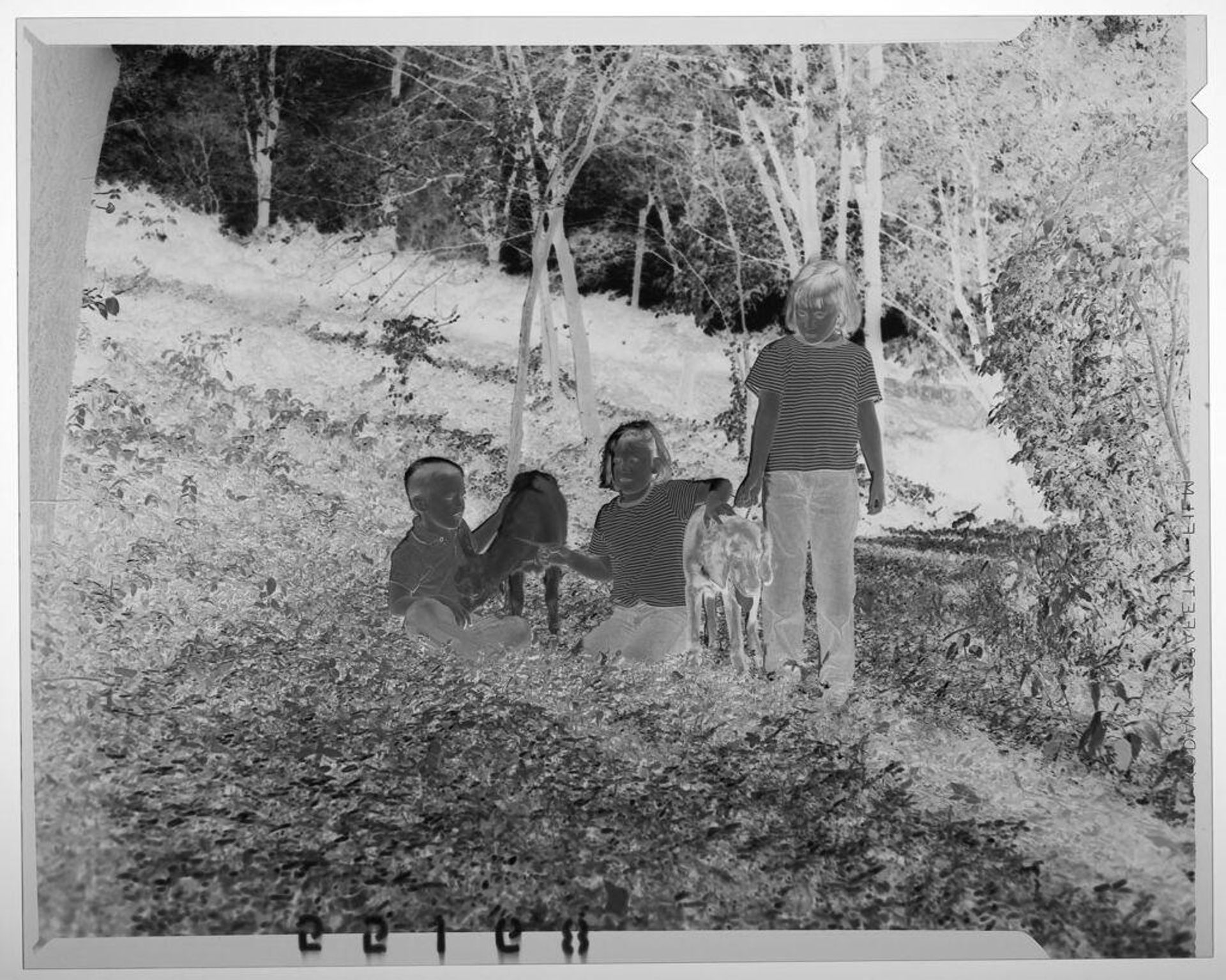 Untitled (three children posed with goat and dog outdoors) by Martin Schweig