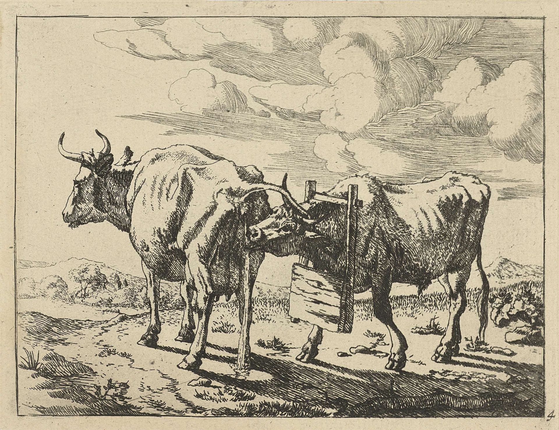 Twee staande koeien by Marcus de Bye