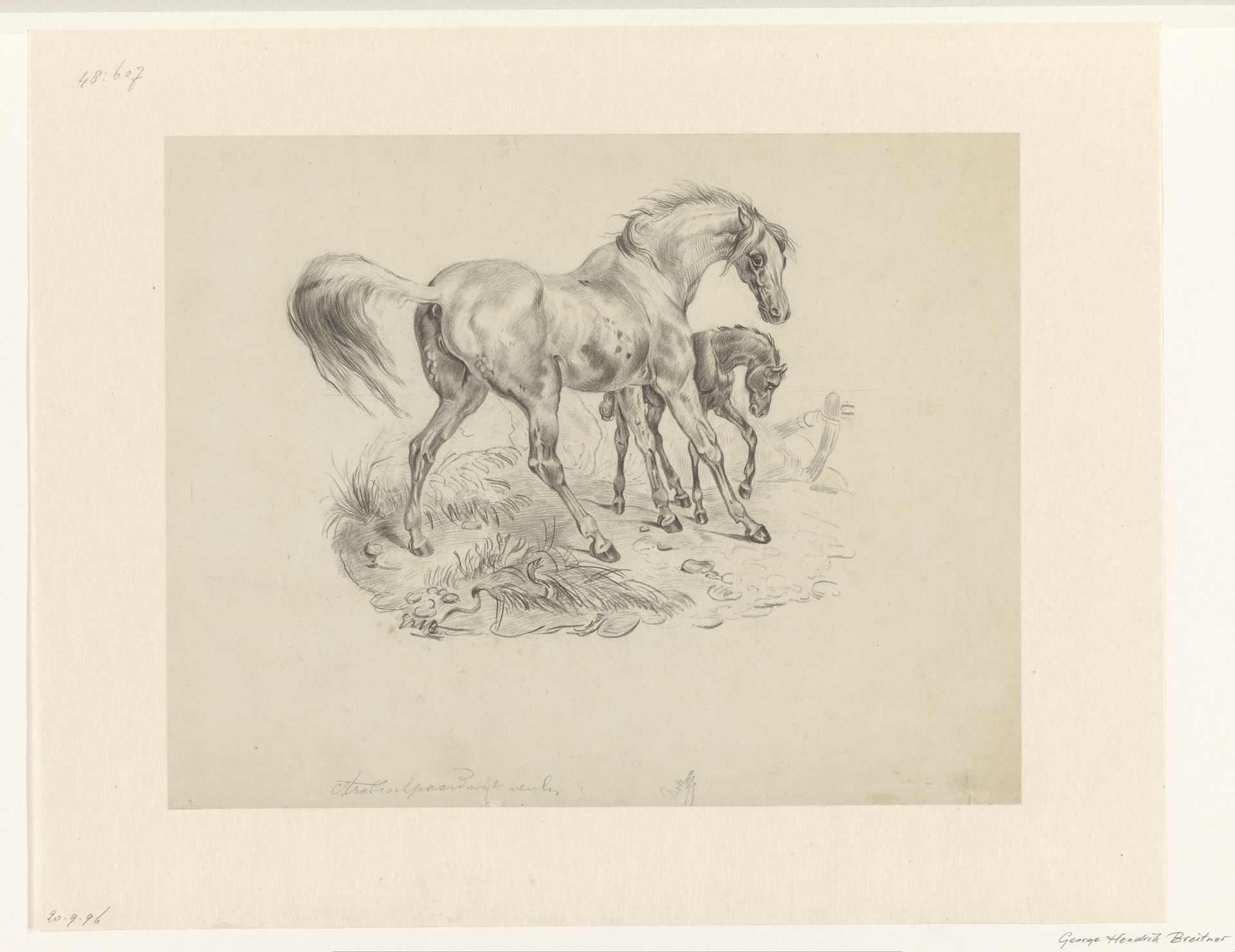Arabisch paard met veulen by George Hendrik Breitner