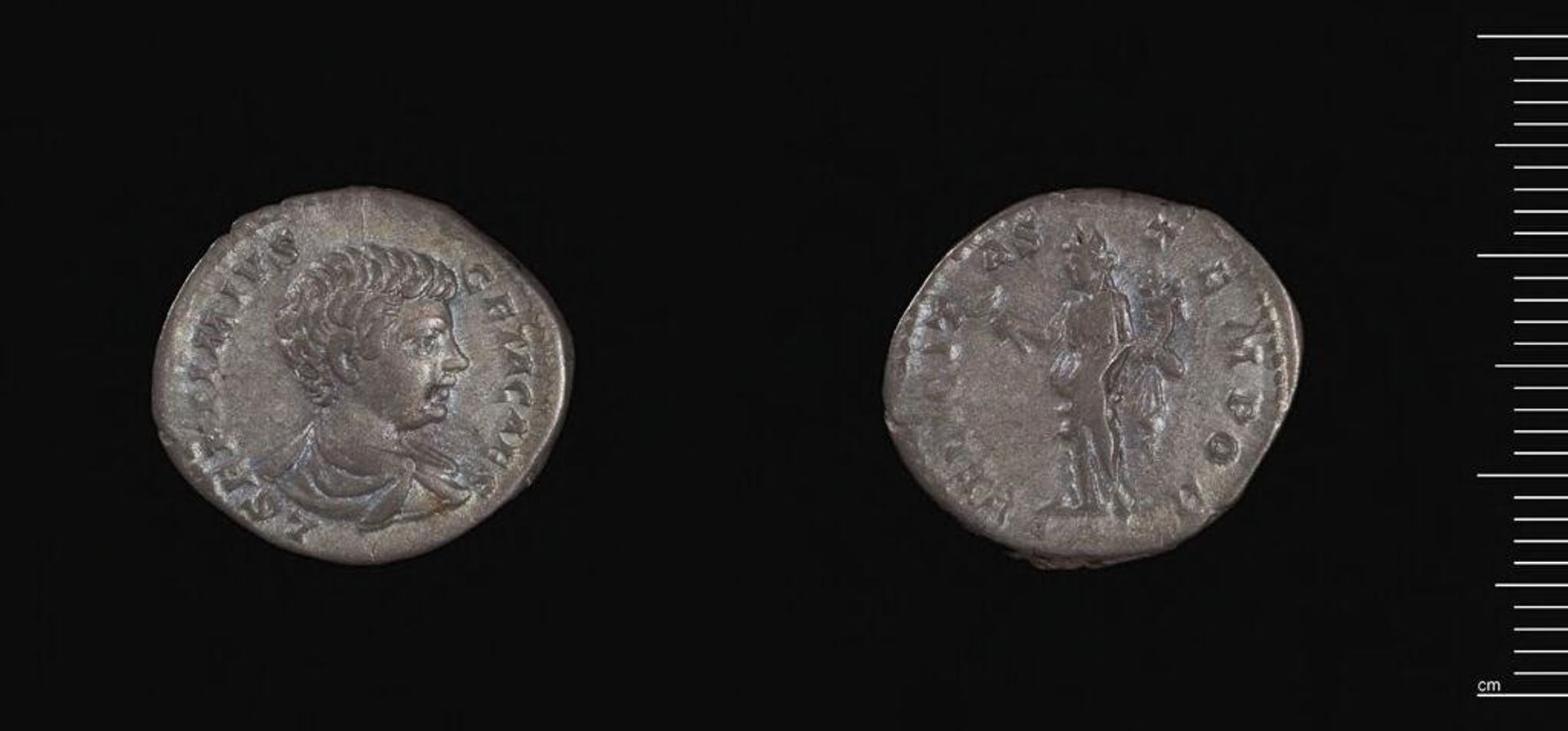 Denarius of Septimius Severus by Septimius Severus