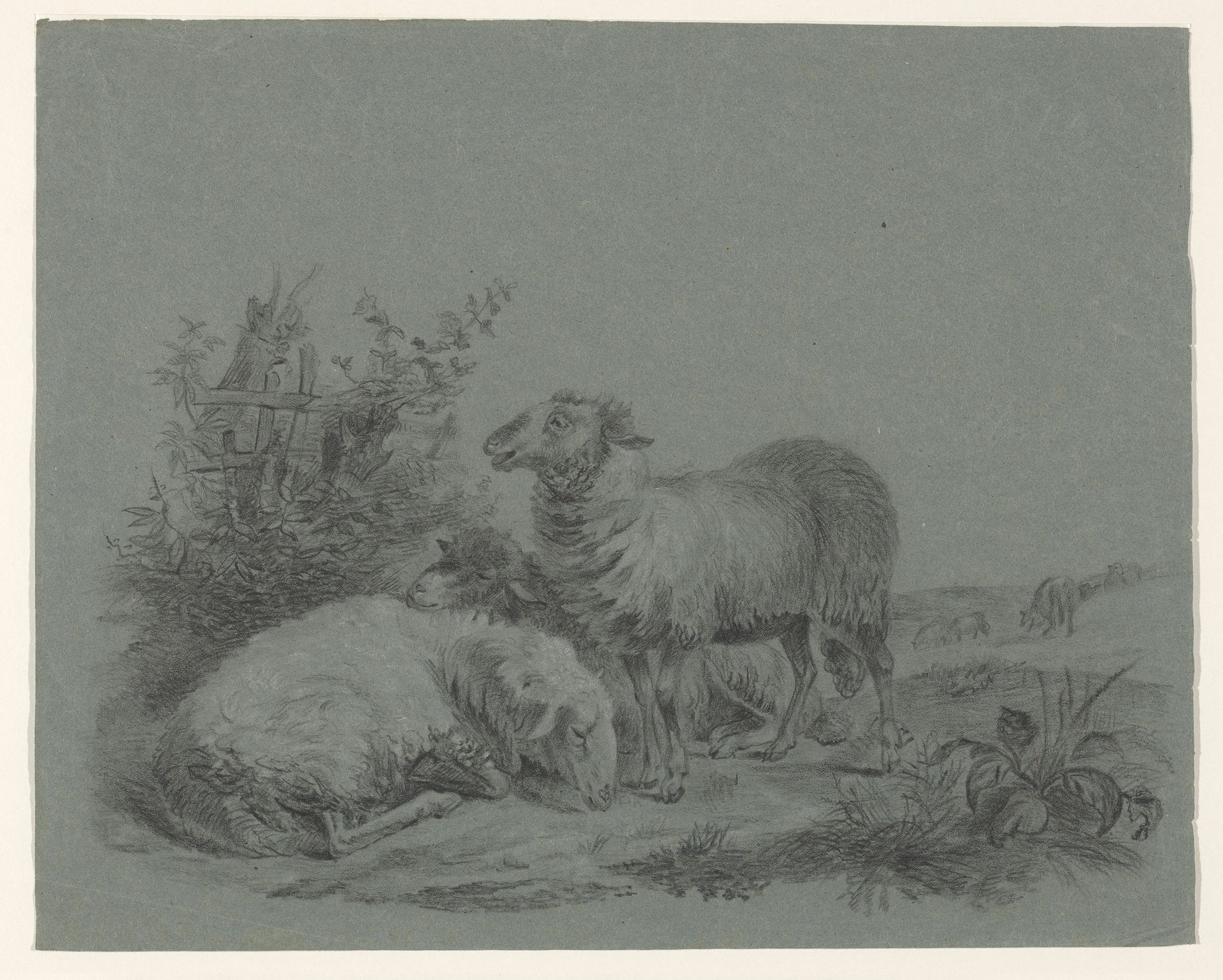 Schapen in een weide by Anonymous