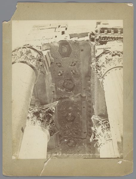 Slide 1