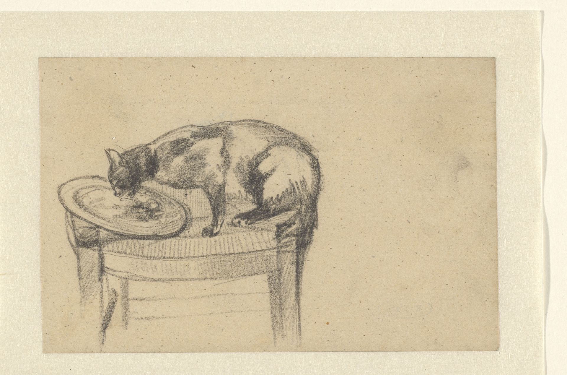 Kat die een bord uitlikt op een stoel by Guillaume Anne van der Brugghen