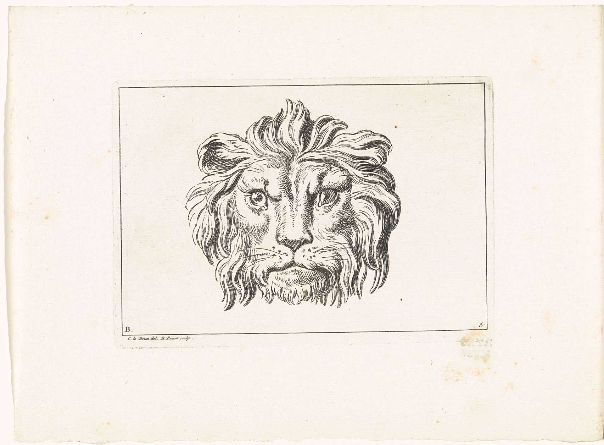 Leeuwenkop by Bernard Picart