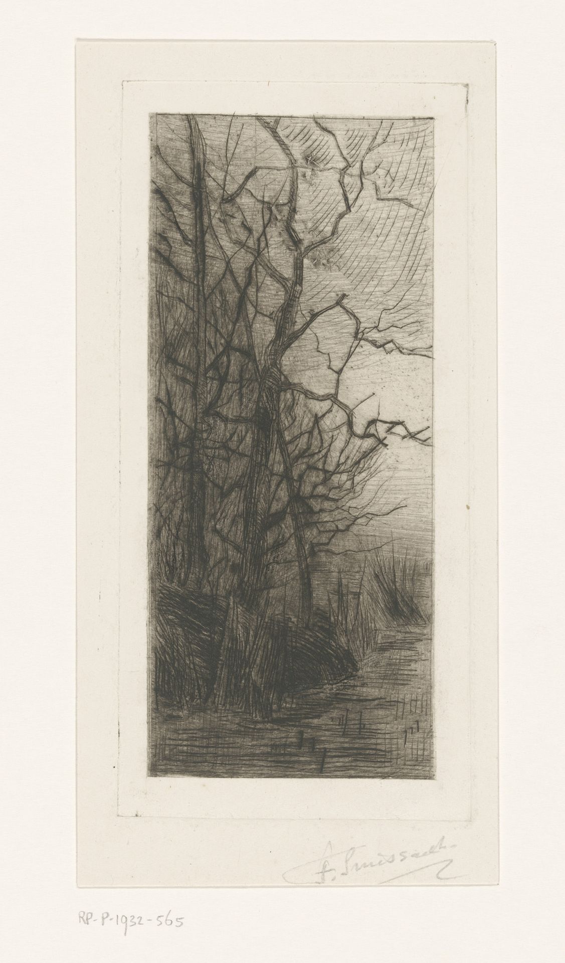 Bomen aan het water by Frans Smissaert