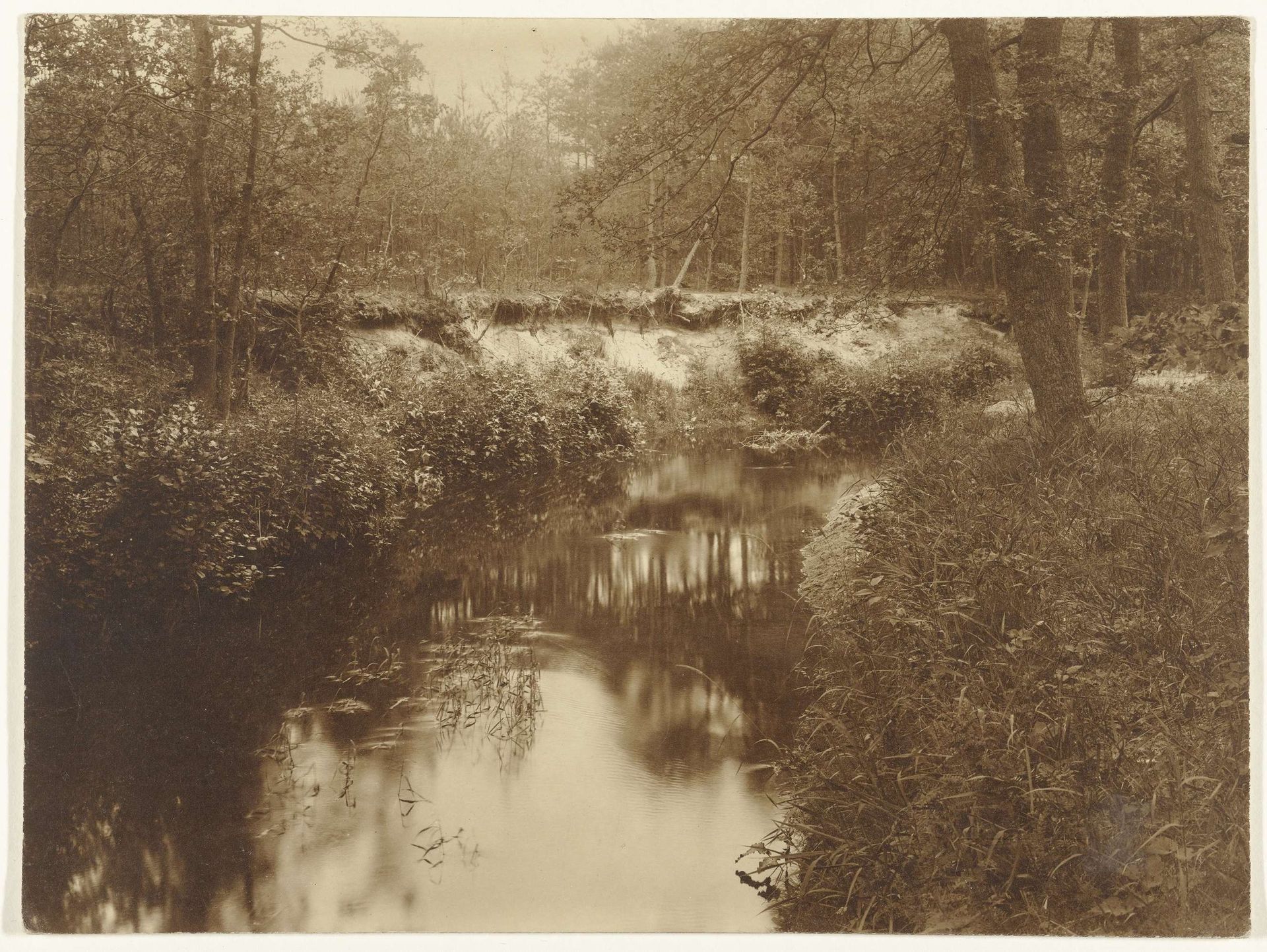 Gezicht op beek en bos by Richard Tepe