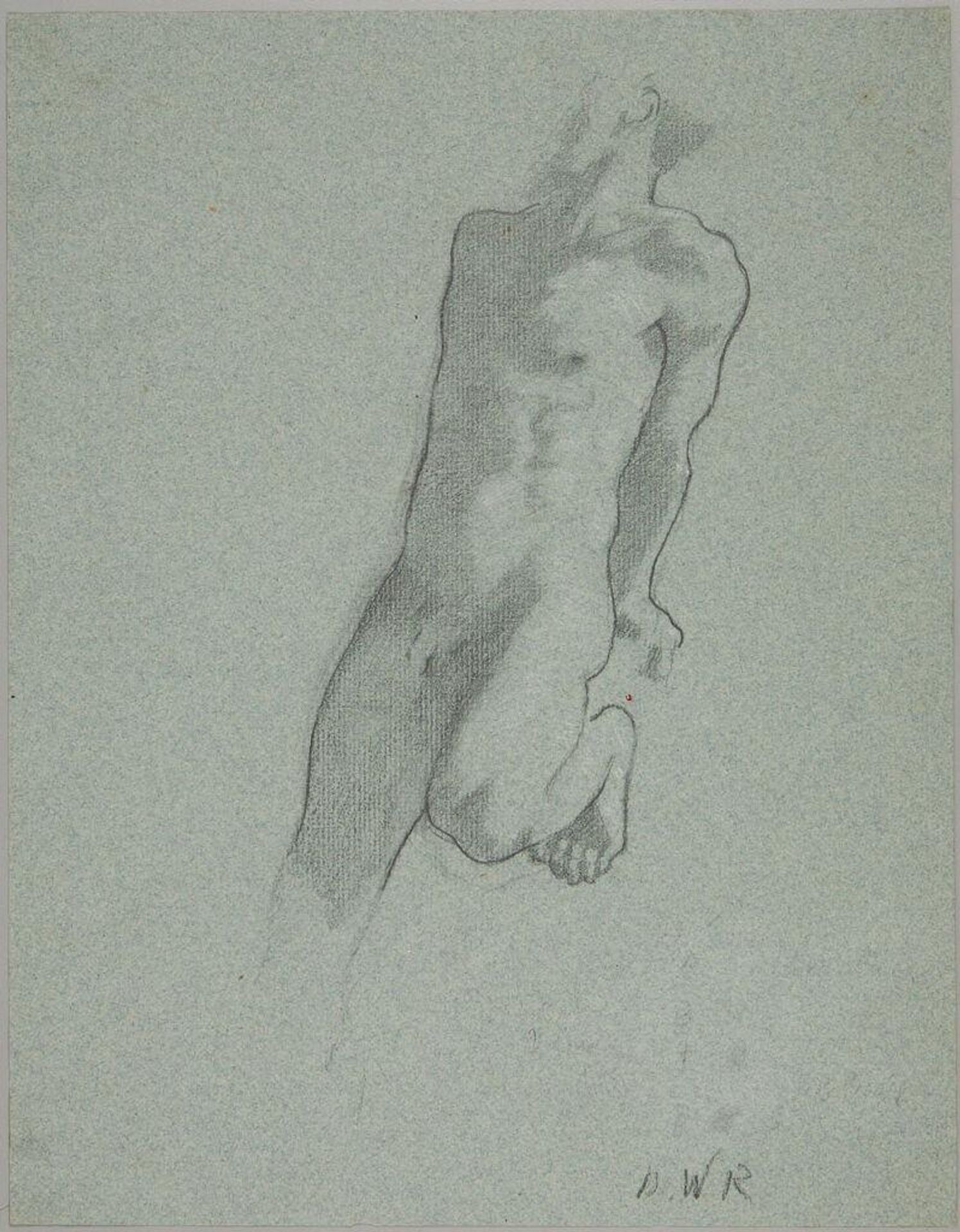 Study of a Male Torso by Denman Waldo Ross