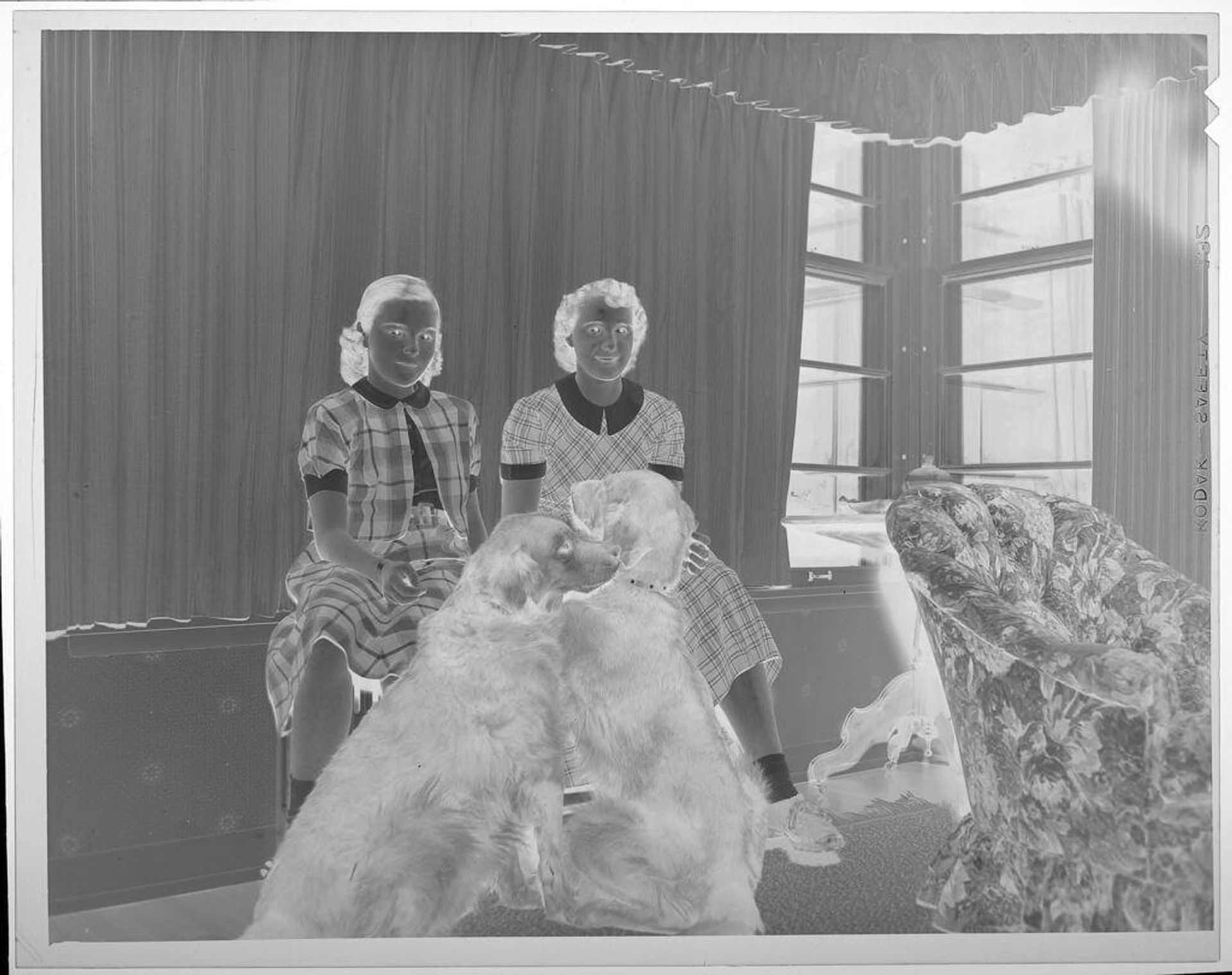 Untitled (two girls with two dogs) by Lucian and Mary Brown