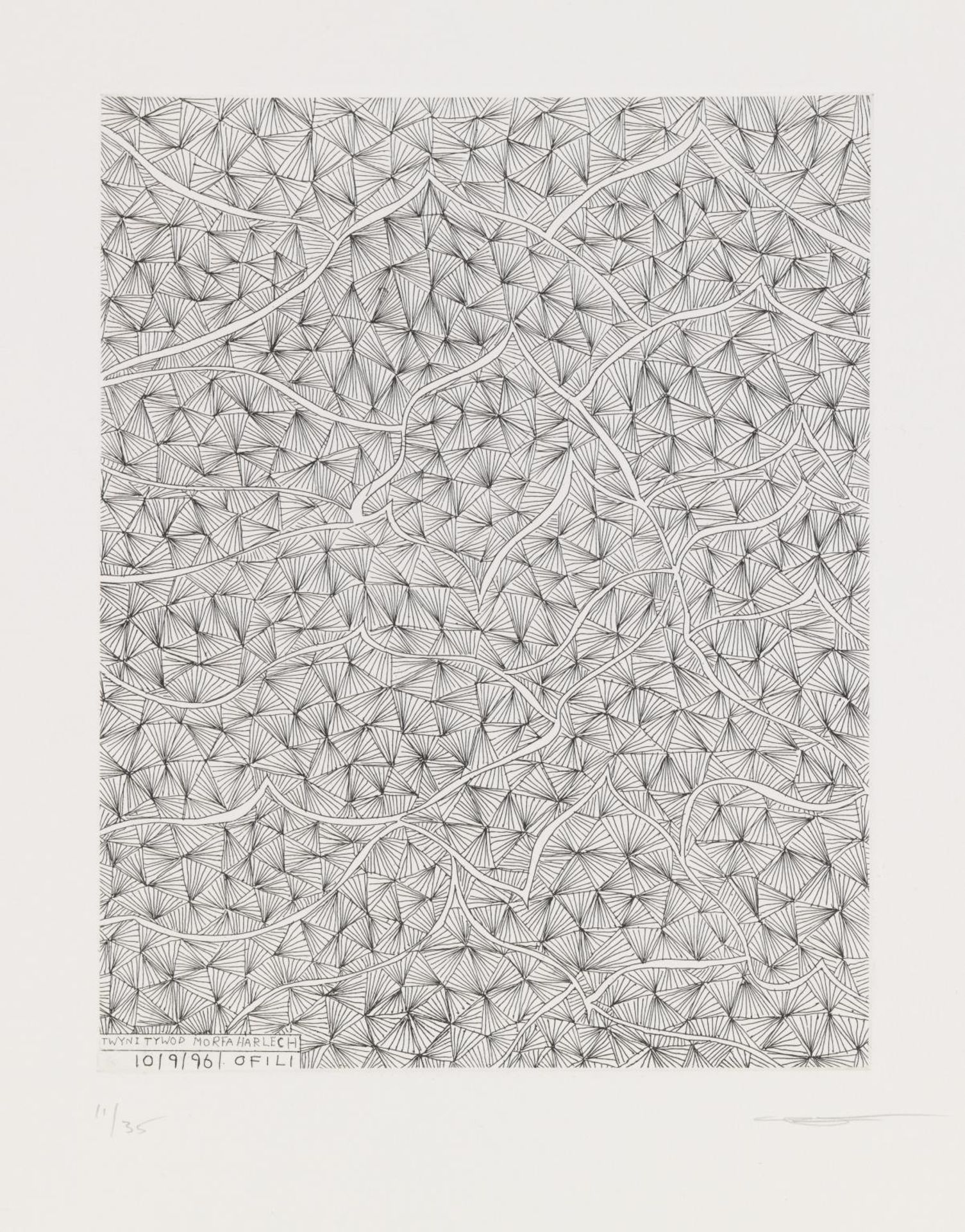 Twynitywod Morfa Harlech 10.9.96 by Chris Ofili