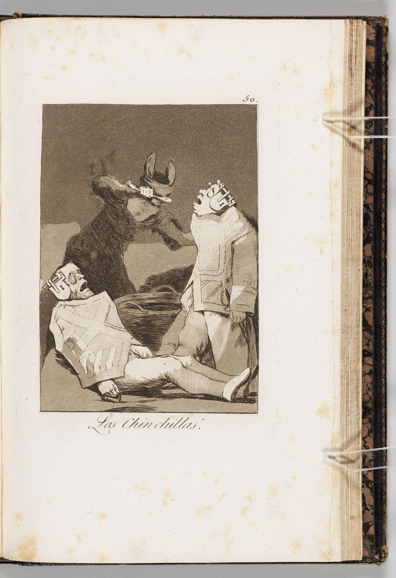 Chinchillas by Francisco JosÃ© de Goya y Lucientes