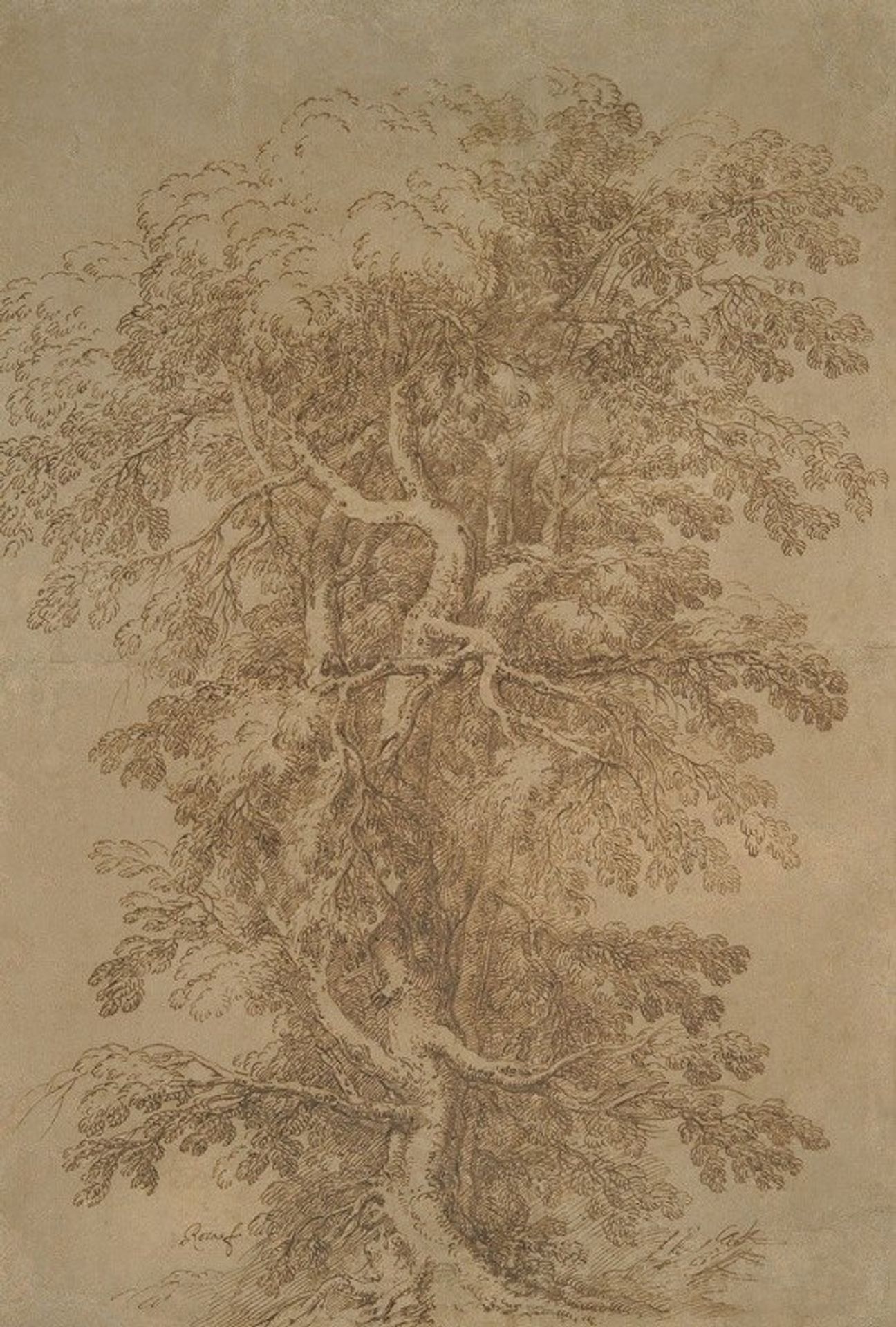 A Large Tree by Salvator Rosa