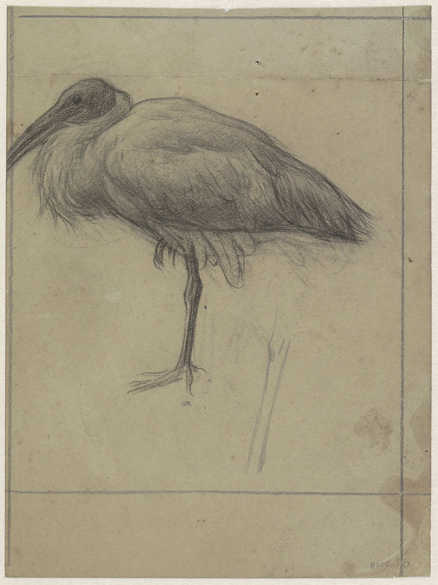 Opgezette ibis by Jan Veth