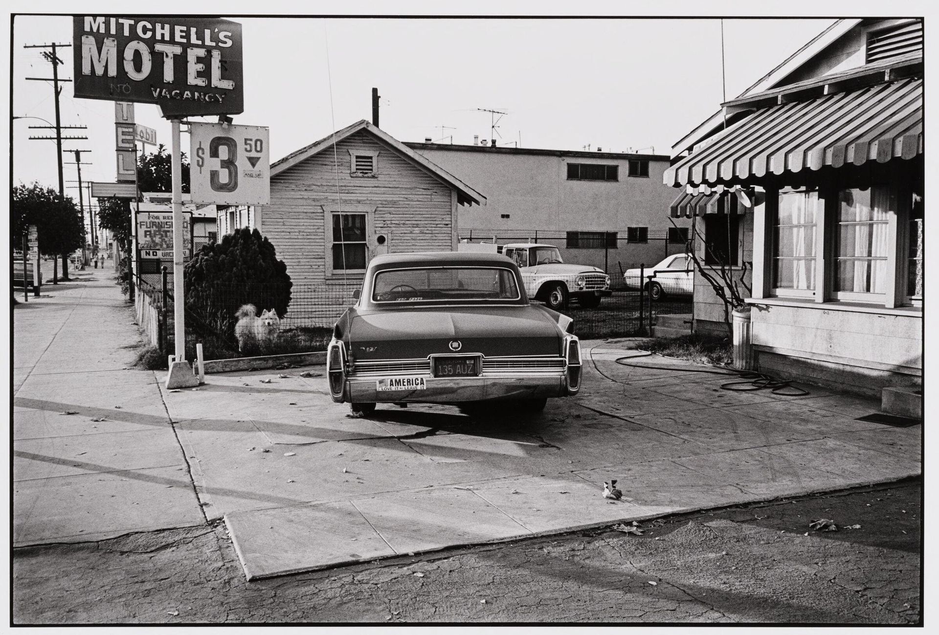âAMERICA â?Love it or leave itâ?â?El Monte, California by Dennis Feldman