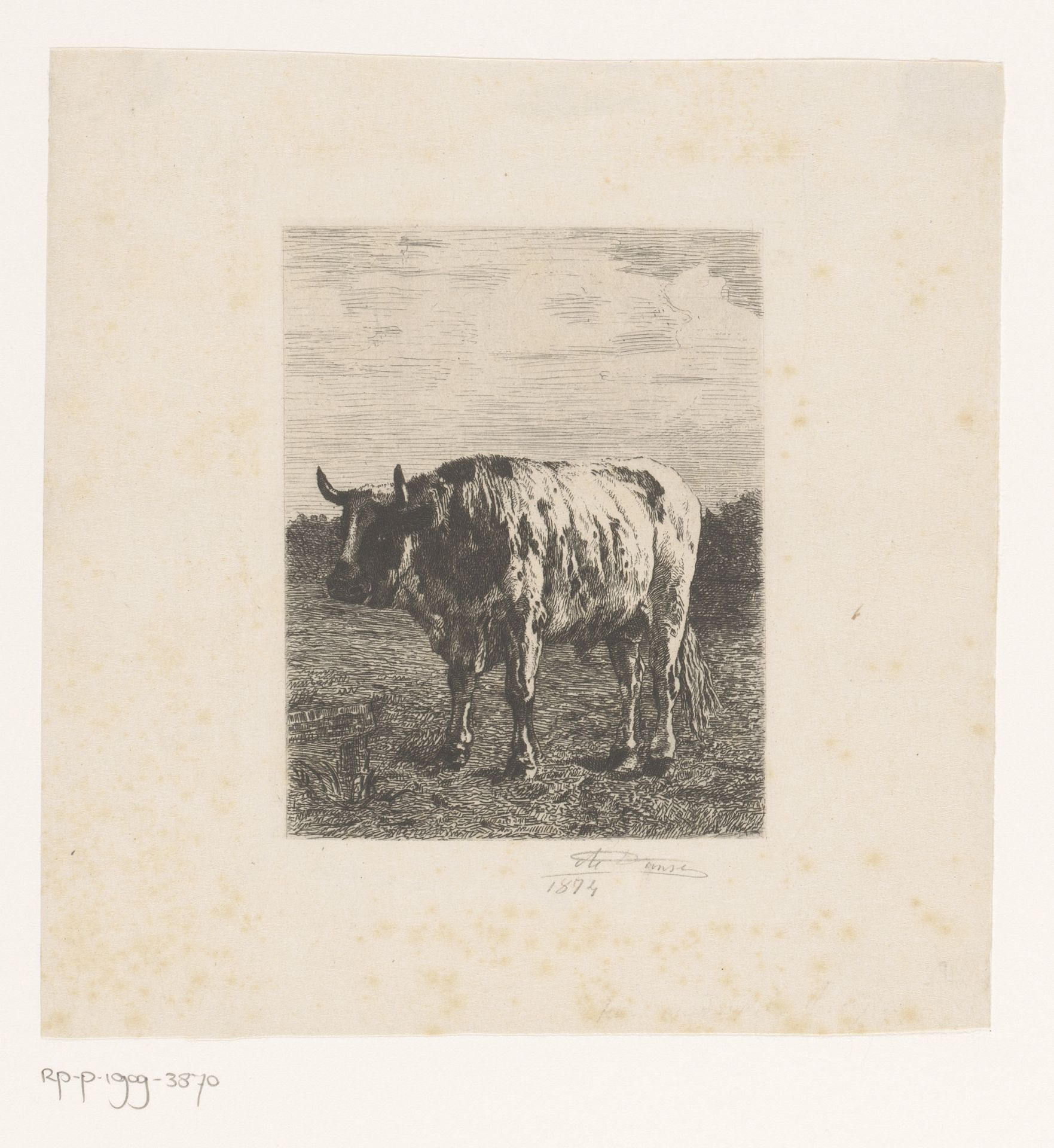 Stier in de wei by Auguste Danse