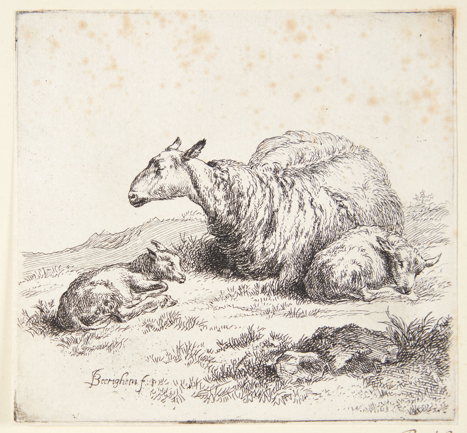 Liggende får med to lam by Nicolaes Berchem