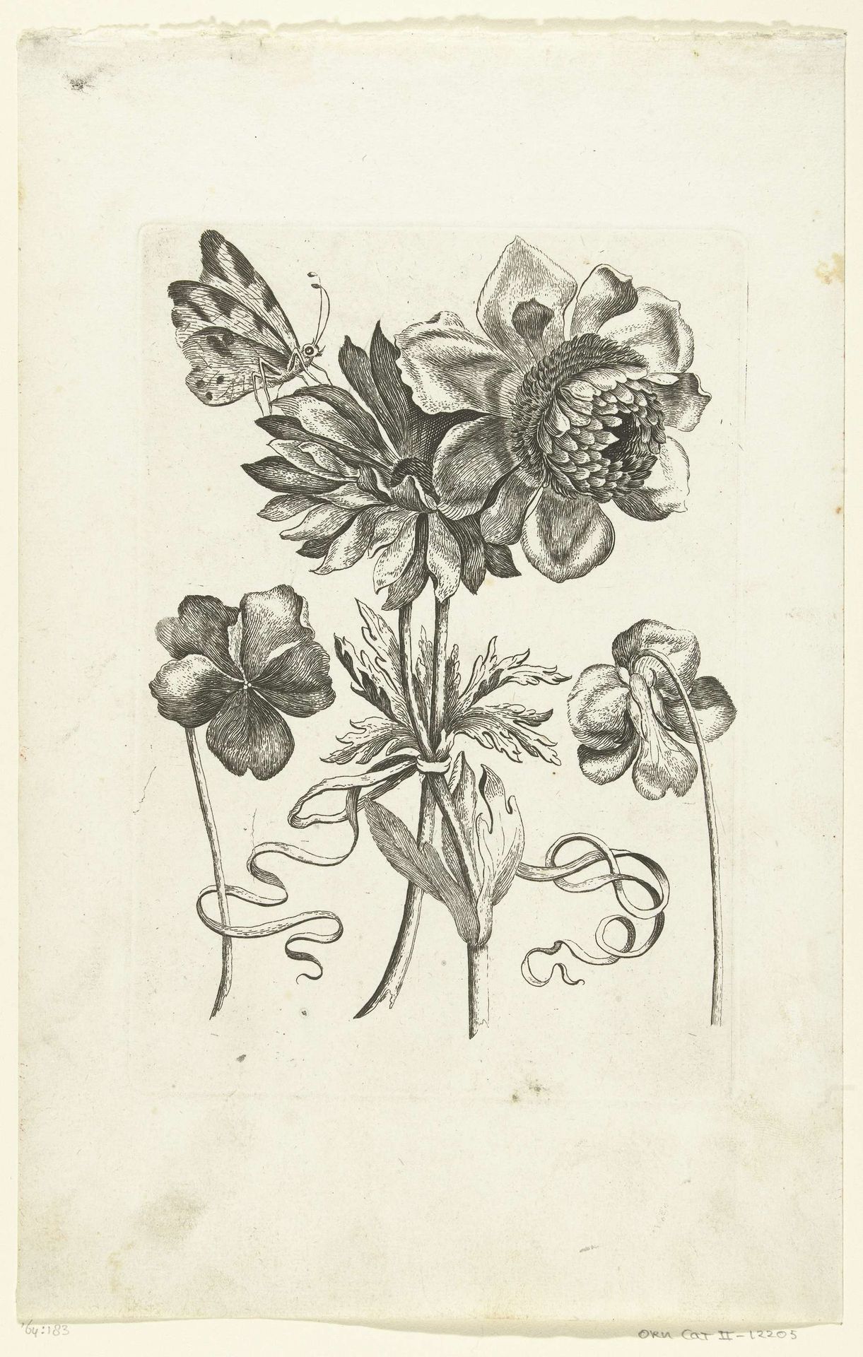 Vier bloemen, waaronder twee viooltjes by Anonymous
