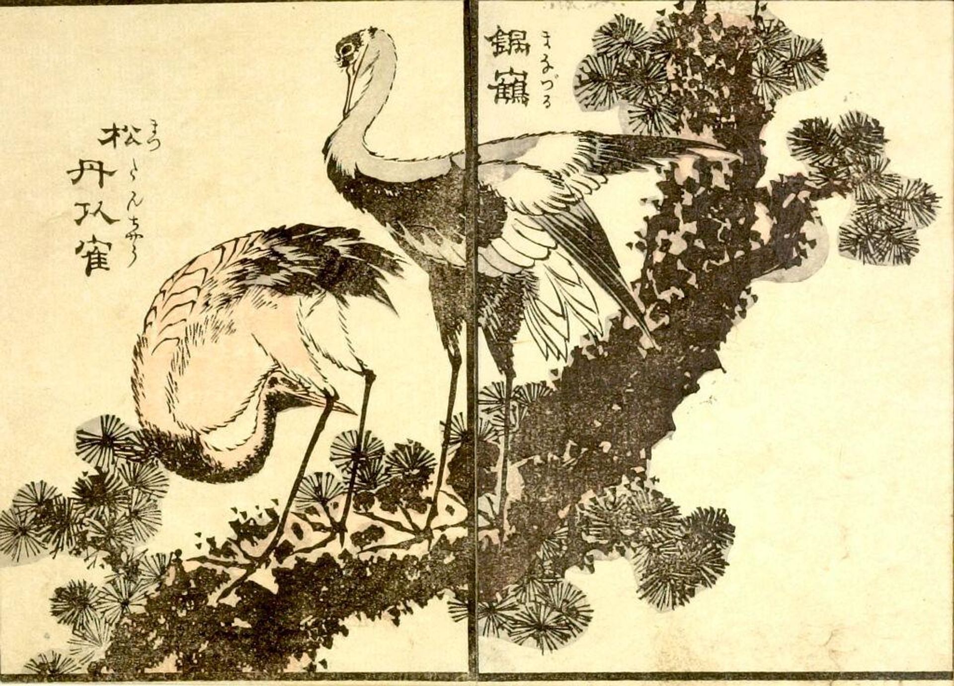 from the illustrated book "KachÅ gaden" by Katsushika Taito II äºä»£èé£¾æ´æ