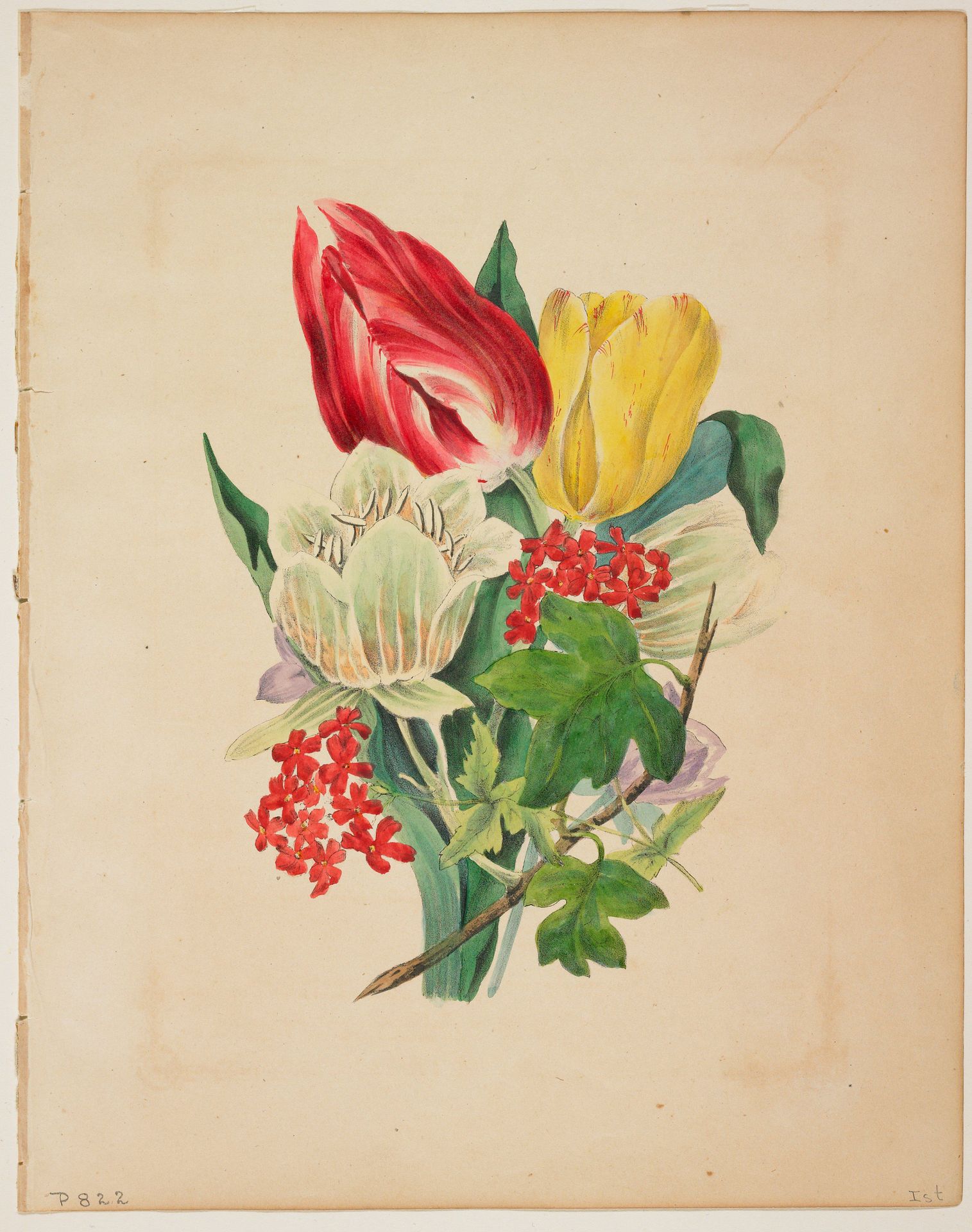 Bouquet of Tulips by Mrs. E. W. Wirt