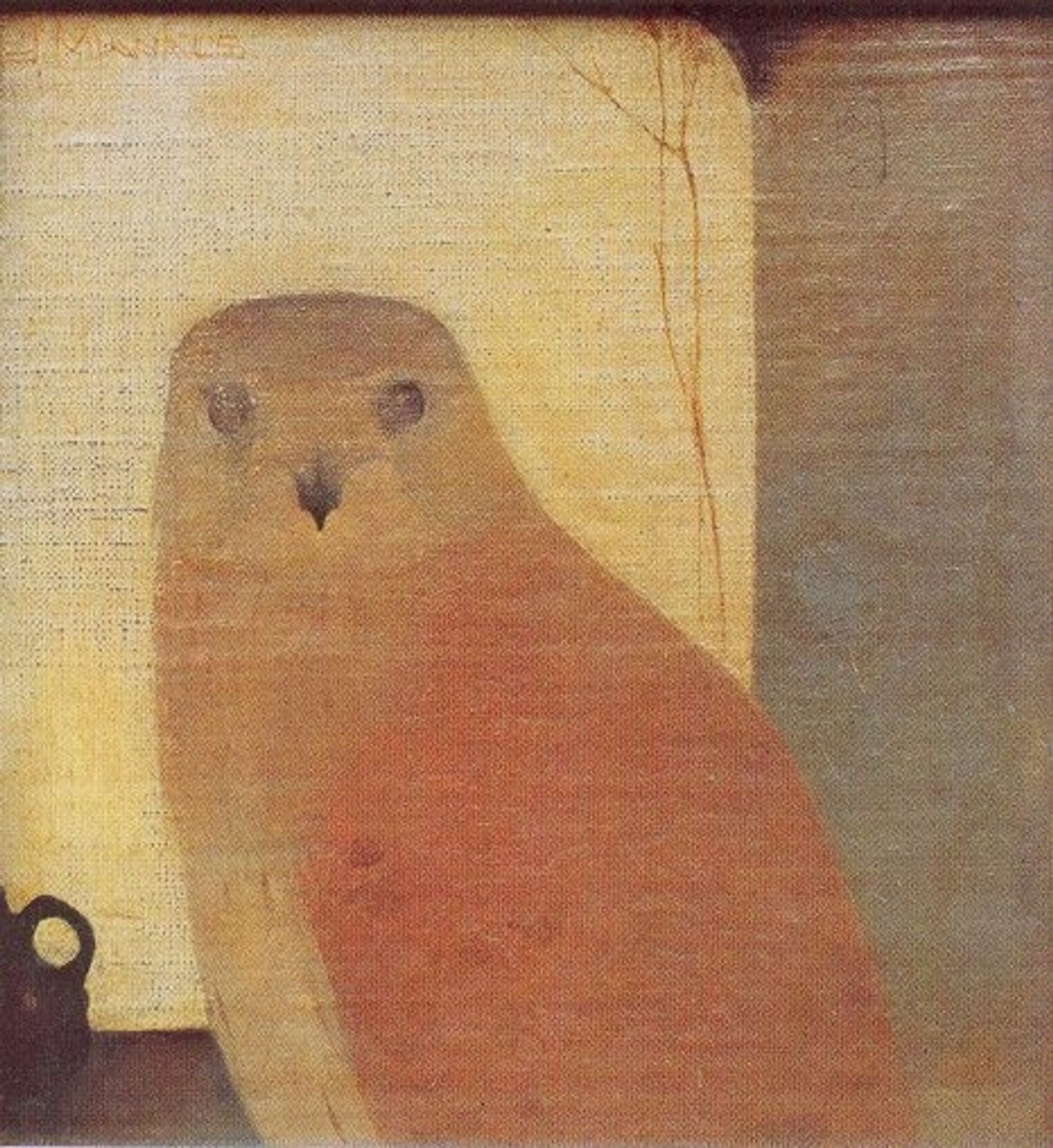 Kestrel by Jan Mankes
