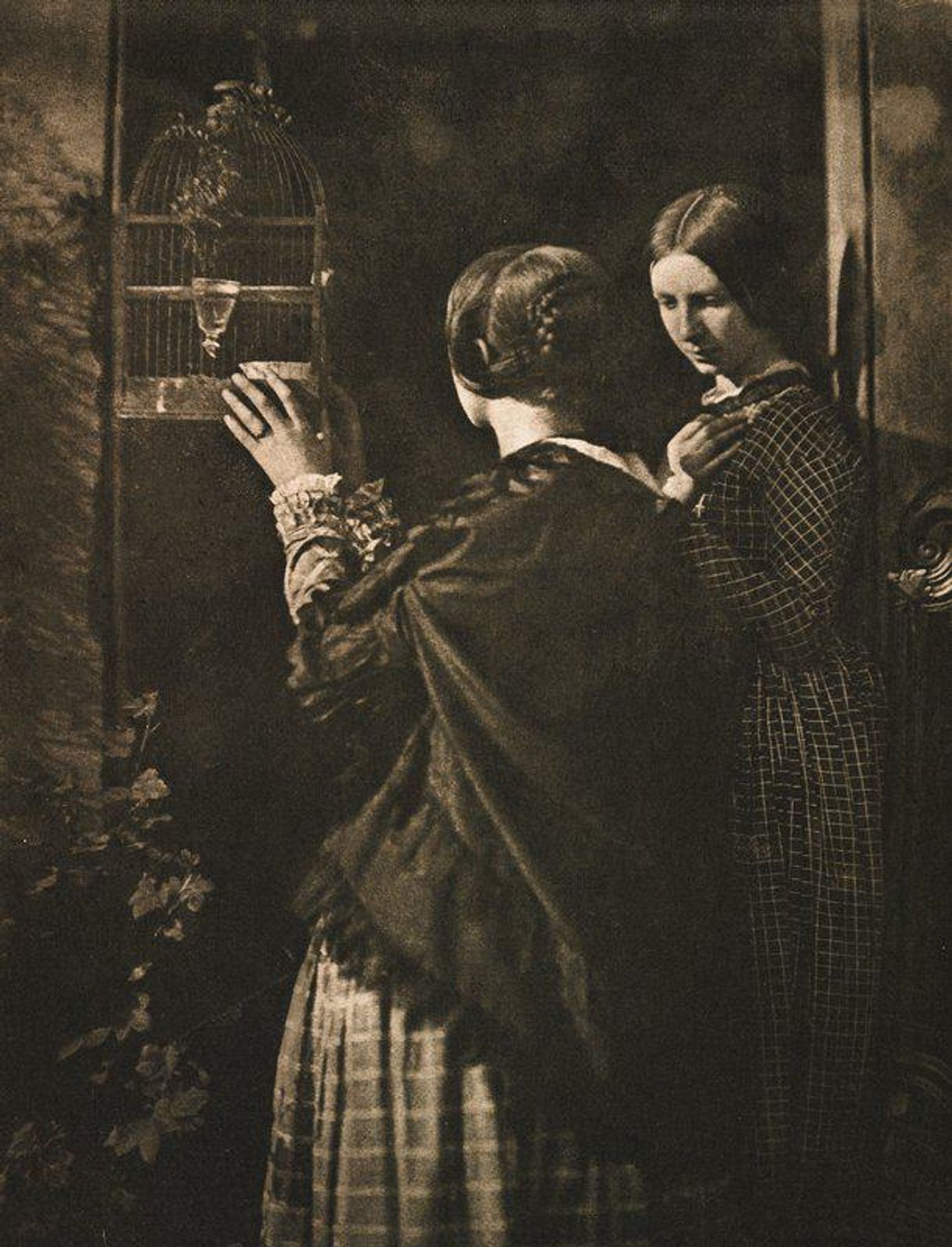 The Bird-Cage by David Octavius Hill