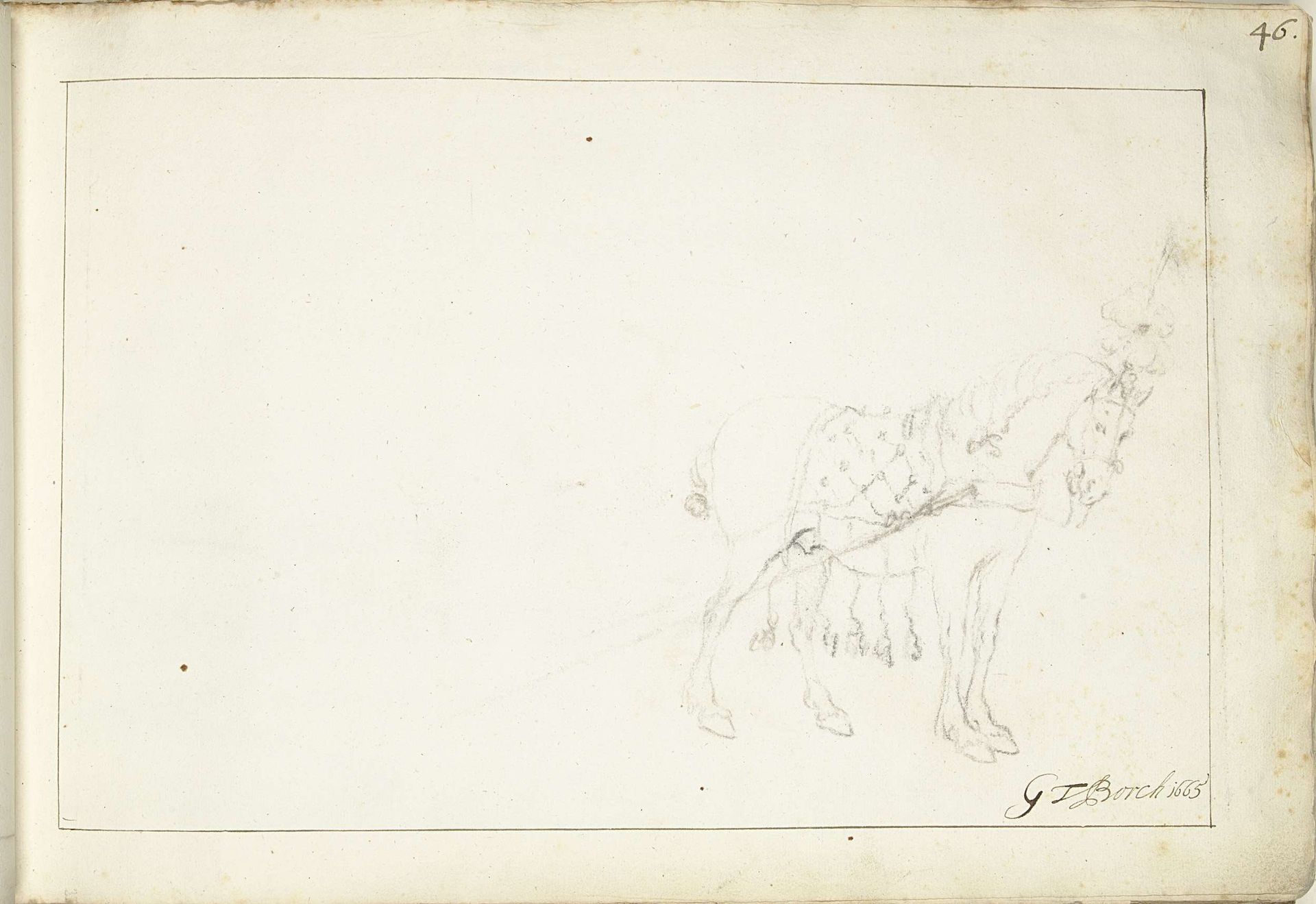 Paard, naar rechts by Gerard ter (II) Borch