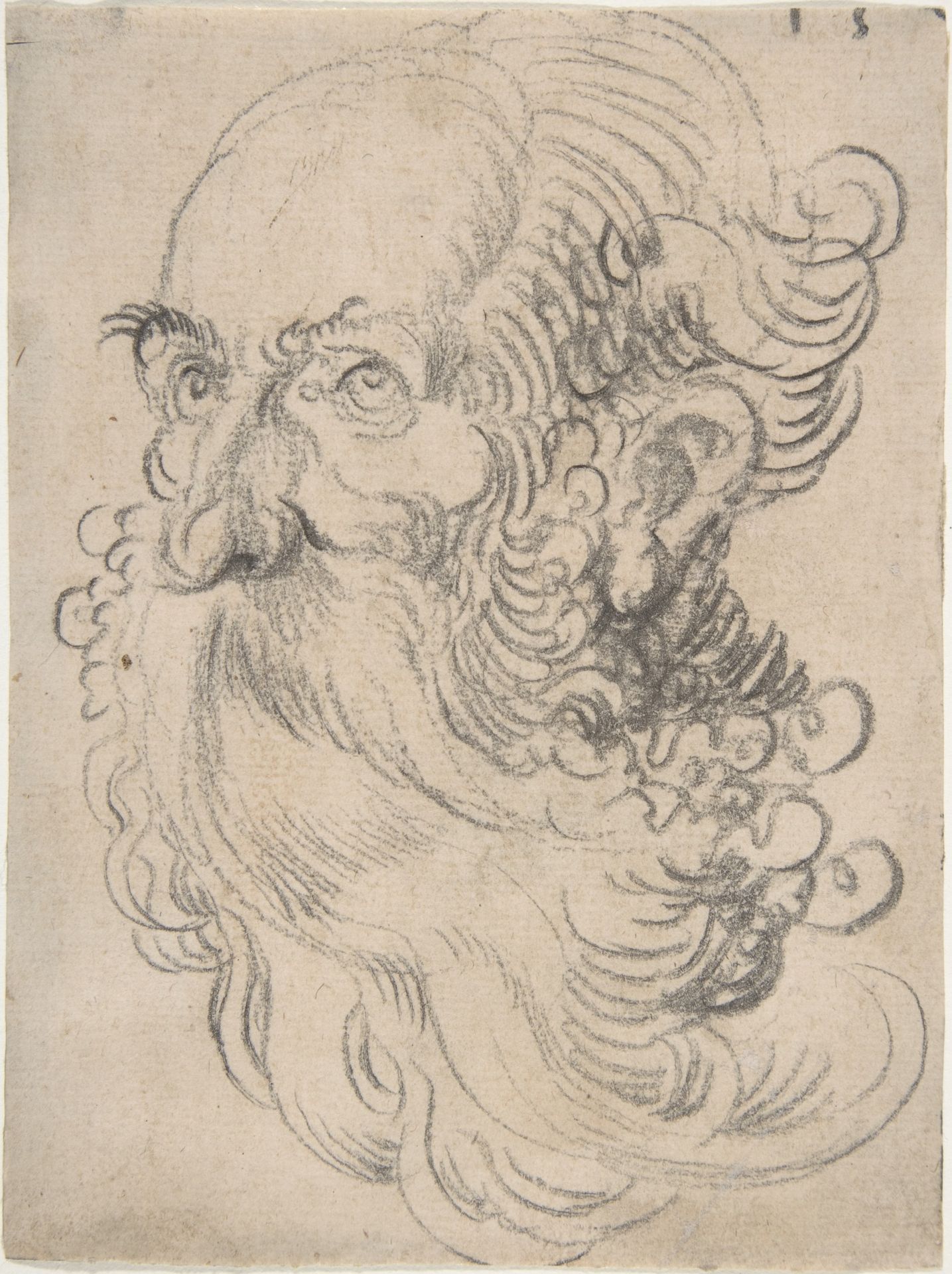 Head of a Bearded Old Man by Wolfgang Huber