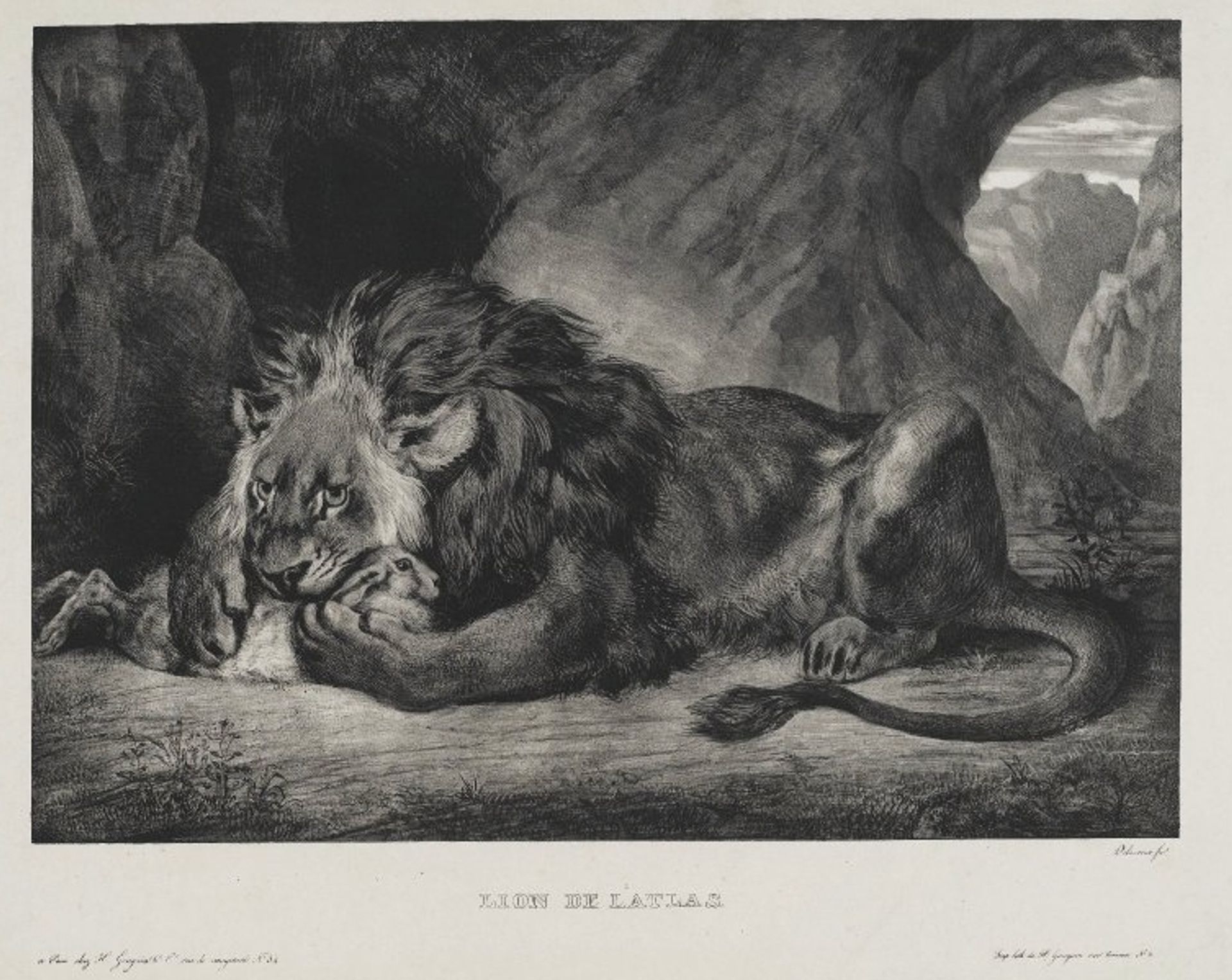 Lion of the Atlas by Eugène Delacroix