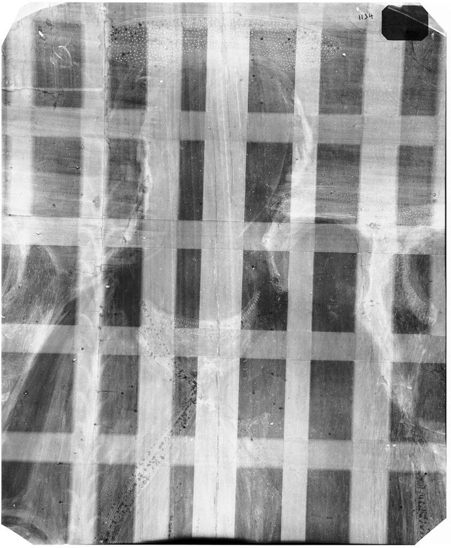 X-radiograph(s) of "Madonna and Glory" by Artist of original: Jacopo del Sellaio
