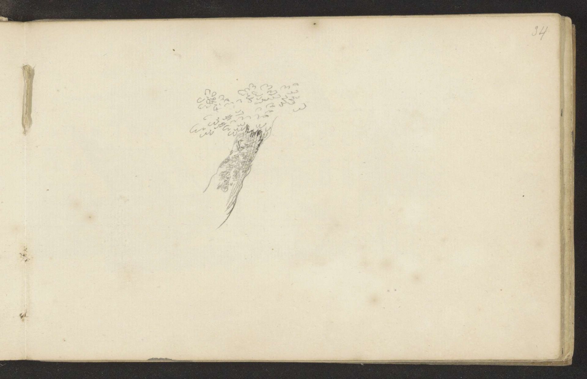 Boom by Abraham de (II) Haen