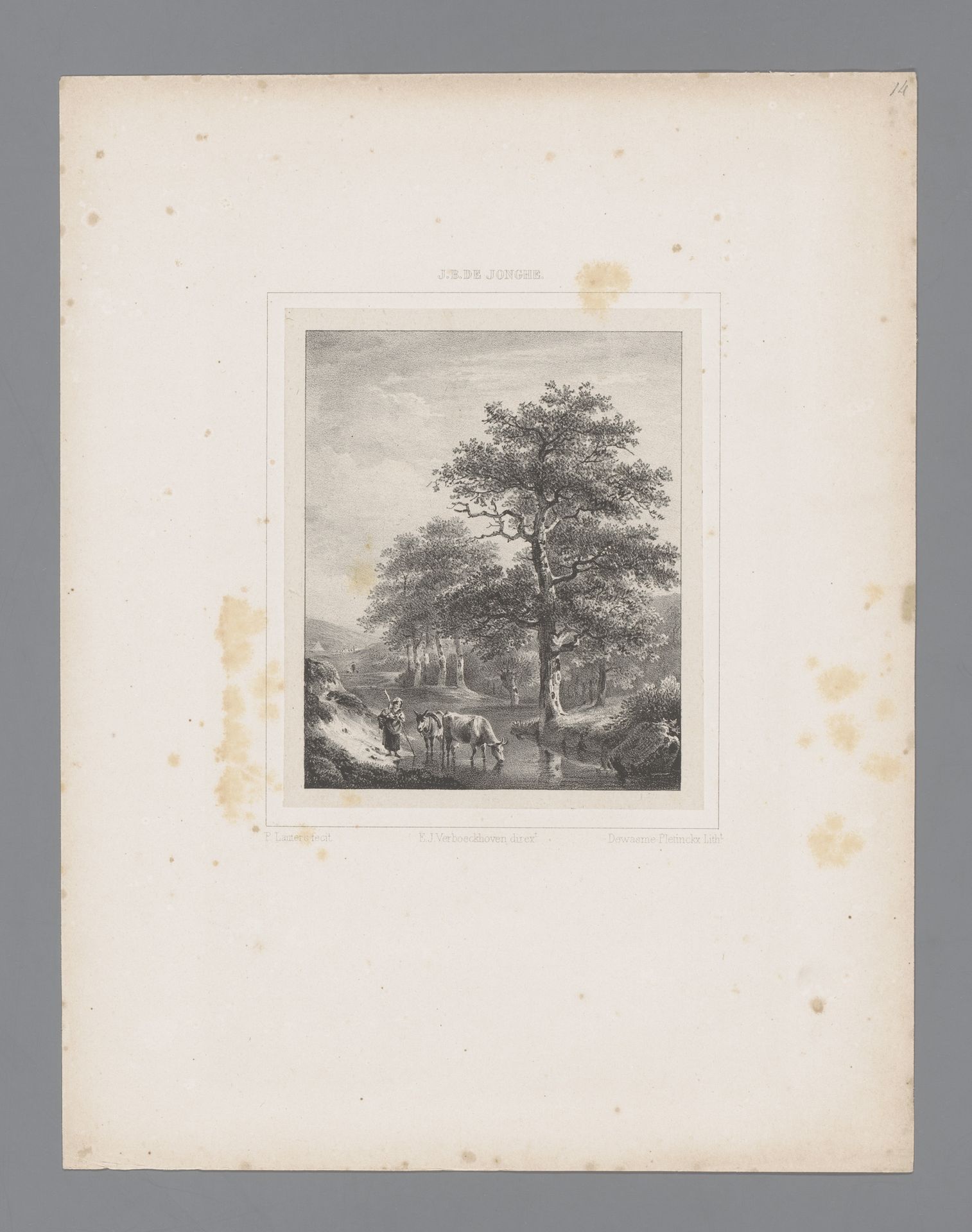 Landschap met drinkende koe by Paulus Lauters