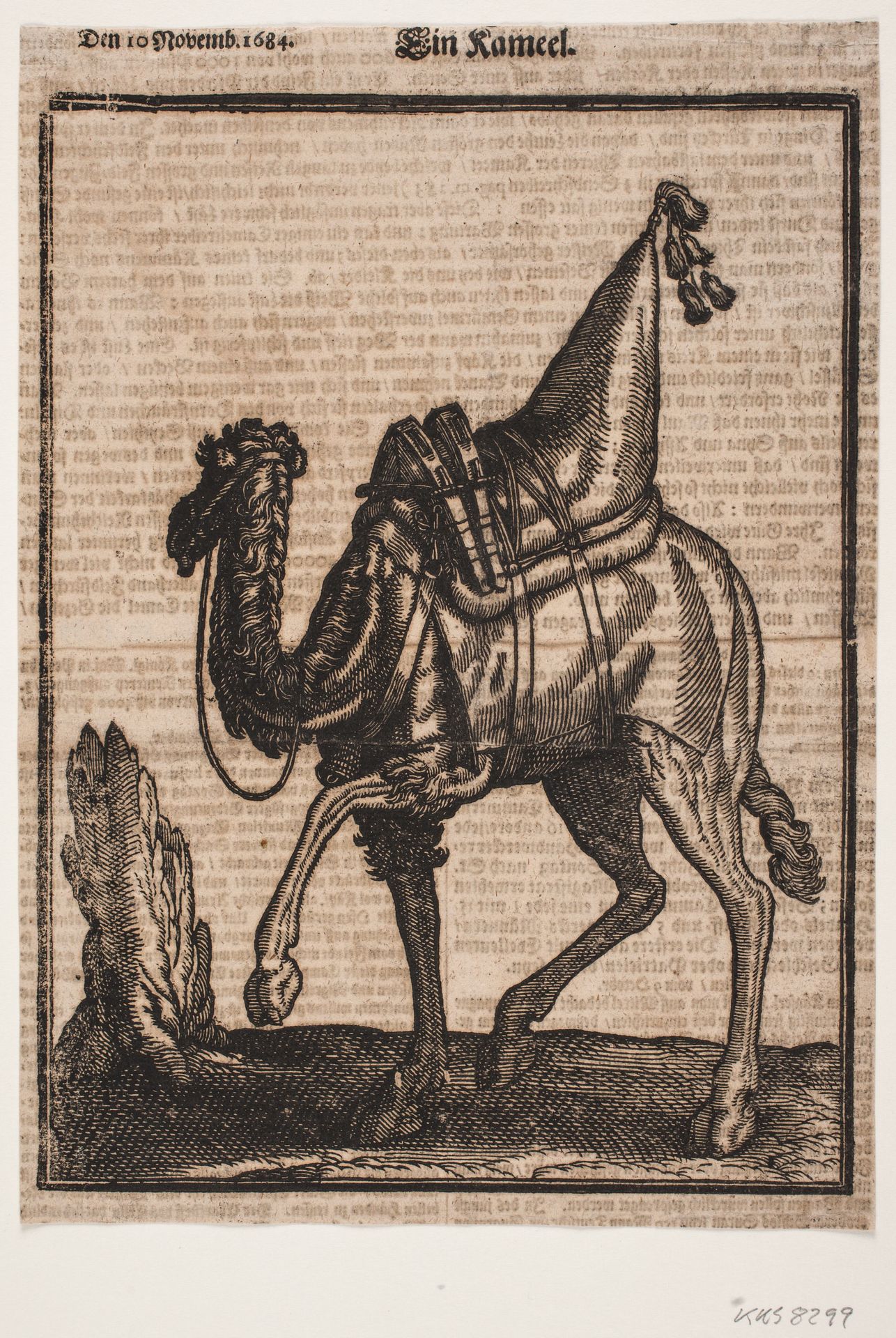 A saddled-up dromedary, profile towards the left, with the animal's head turned away from the wiever by Melchior Lorck