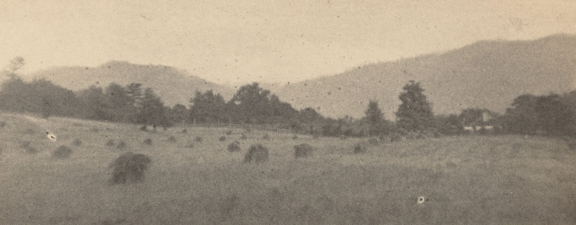 Landscape with trees and mountains by Joseph T. Keiley