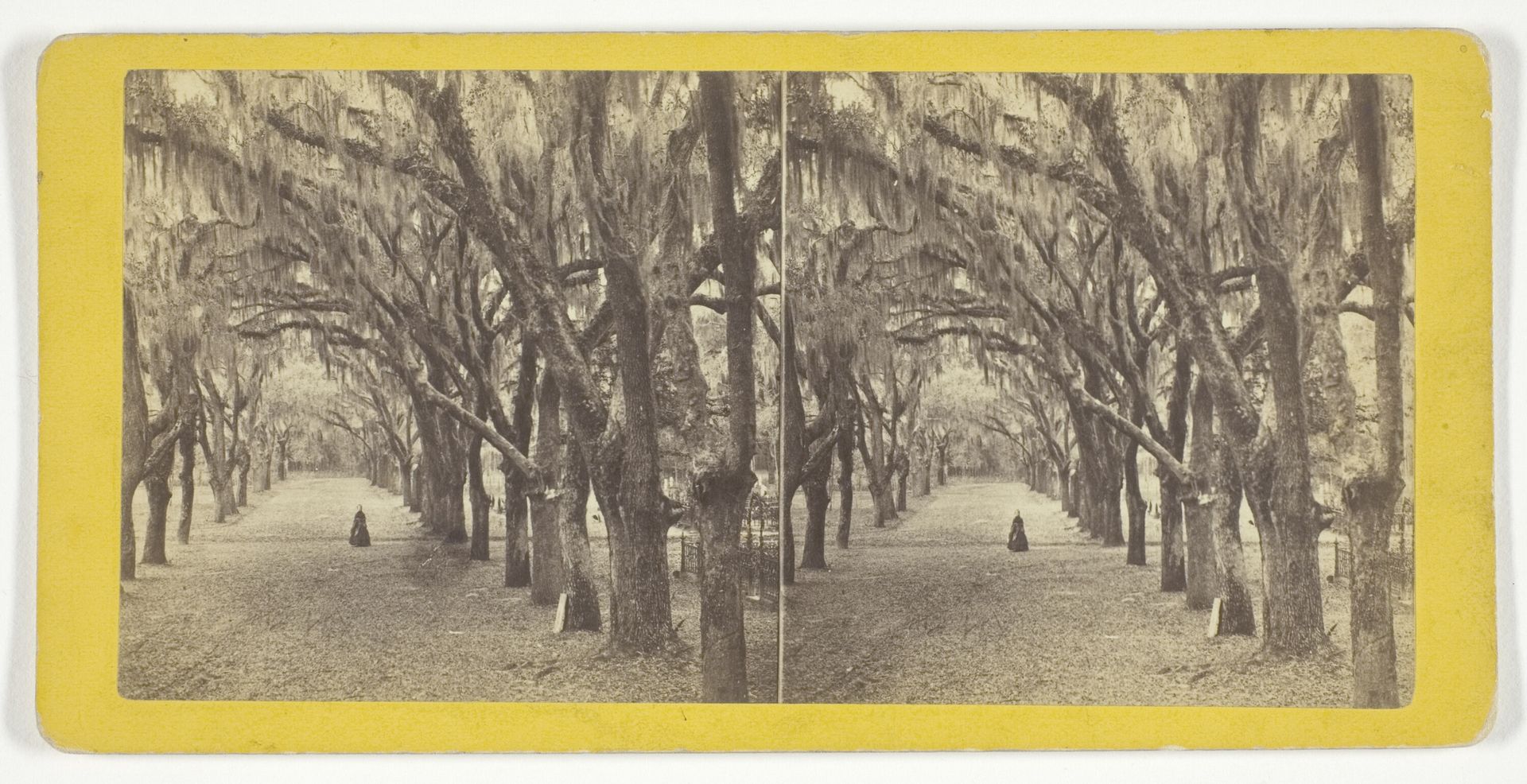 Bonaventure by J. N. Wilson