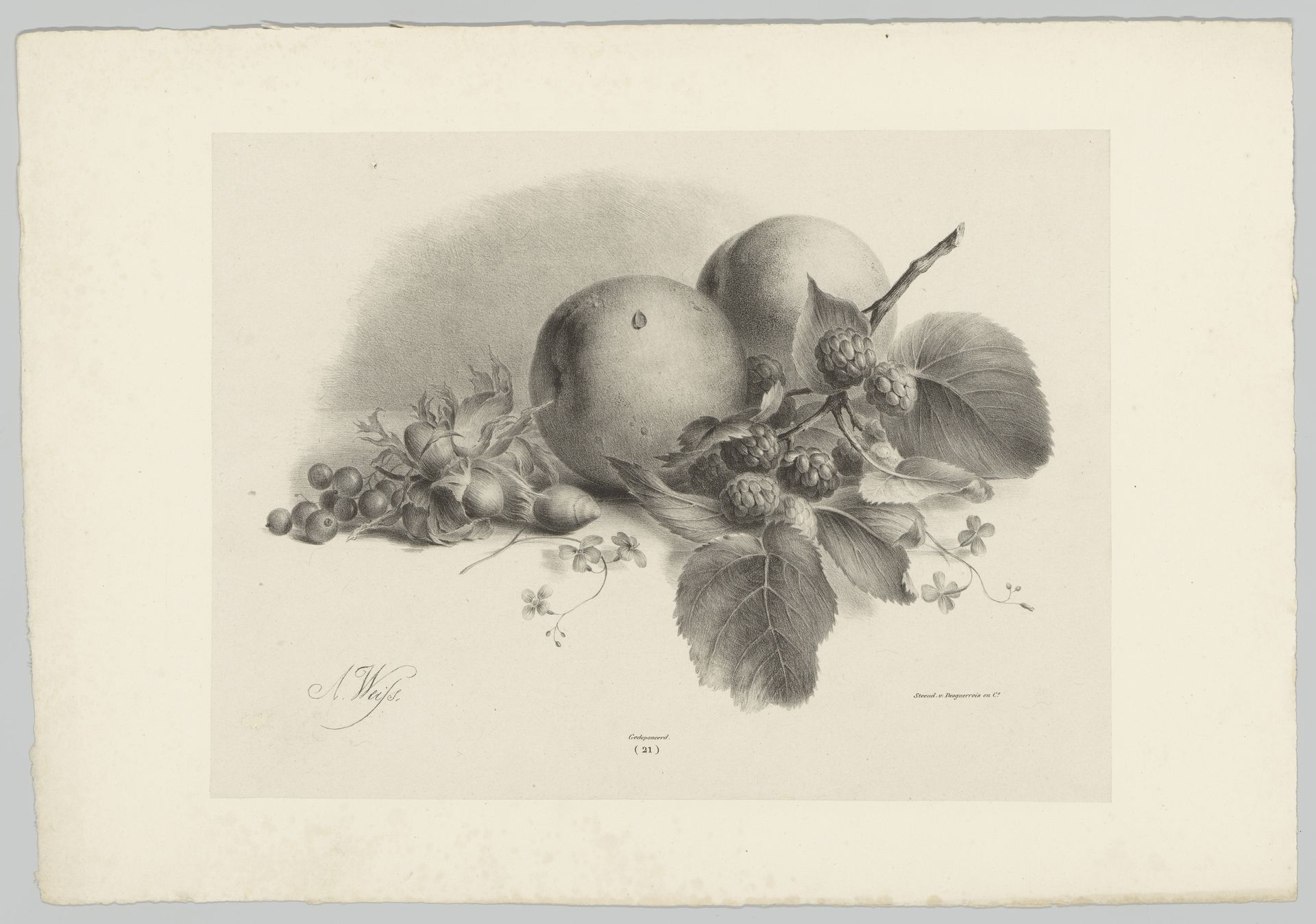 Perziken, bessen, hazelnoten en bramen by Anton Weiss