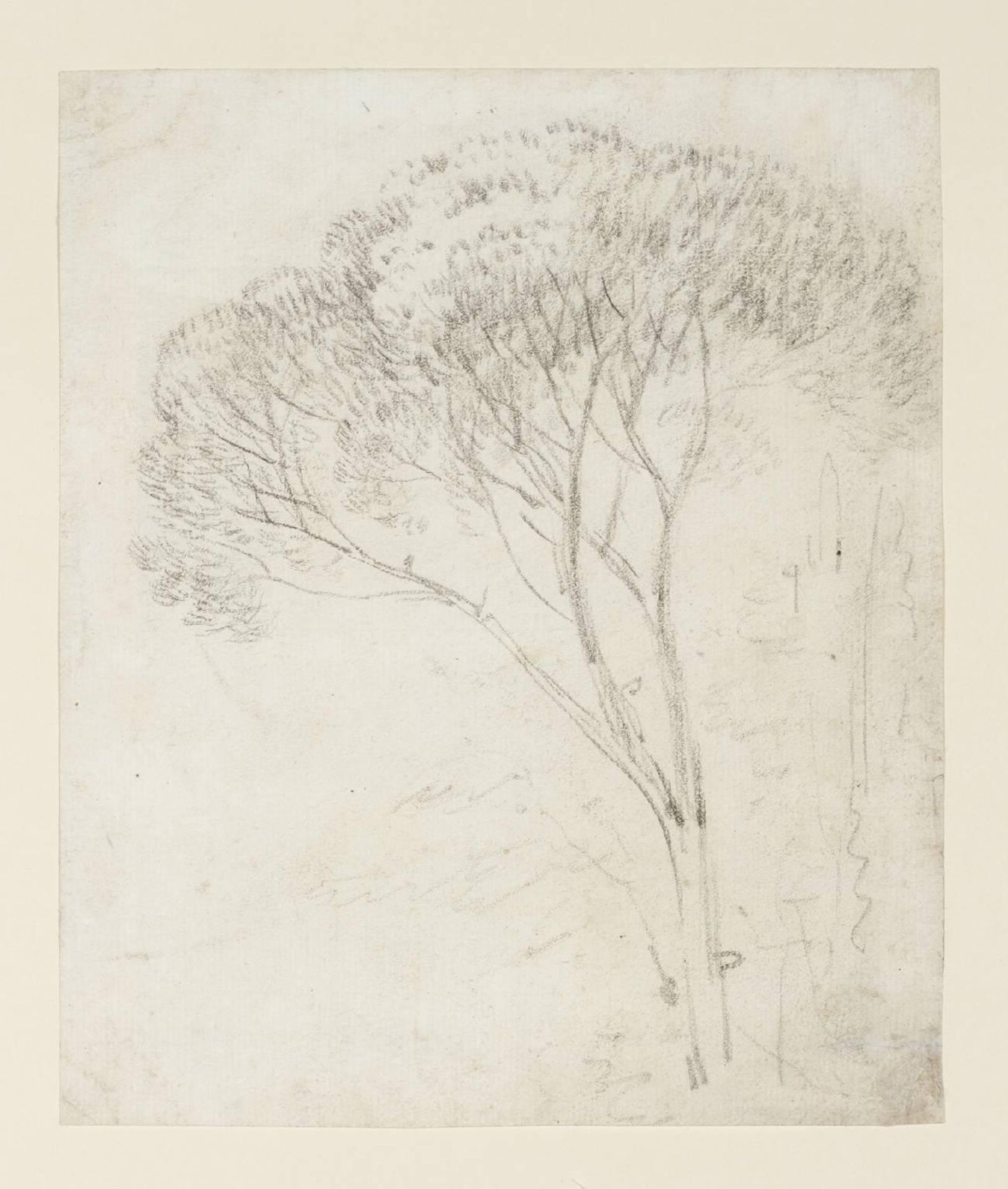 Tree Study by Richard Wilson