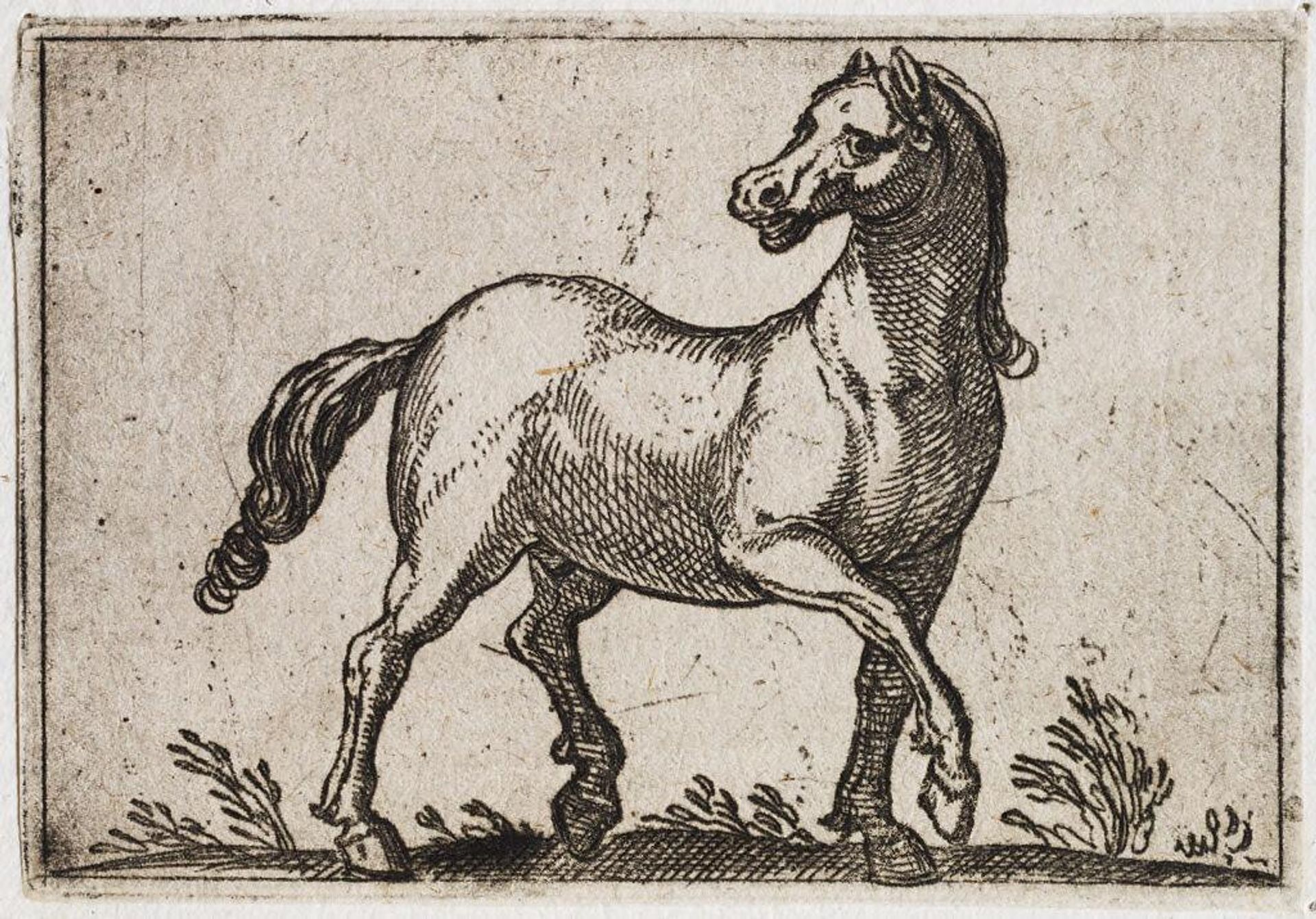 Horse Walking to the Right by Antonio Tempesta